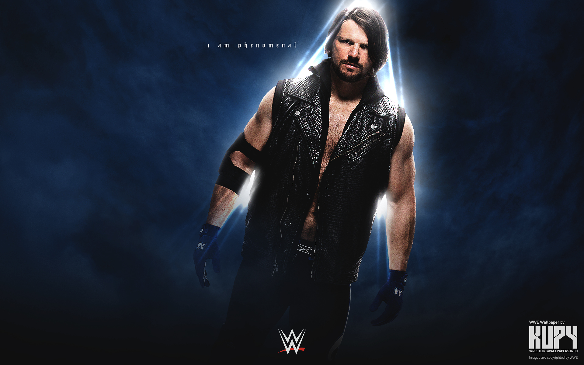 Wwe 2016 Wallpapers