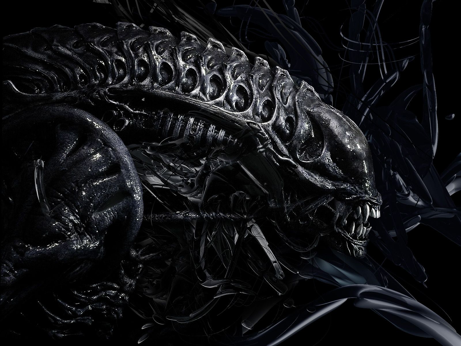 Xenomorph Queen
 Wallpapers