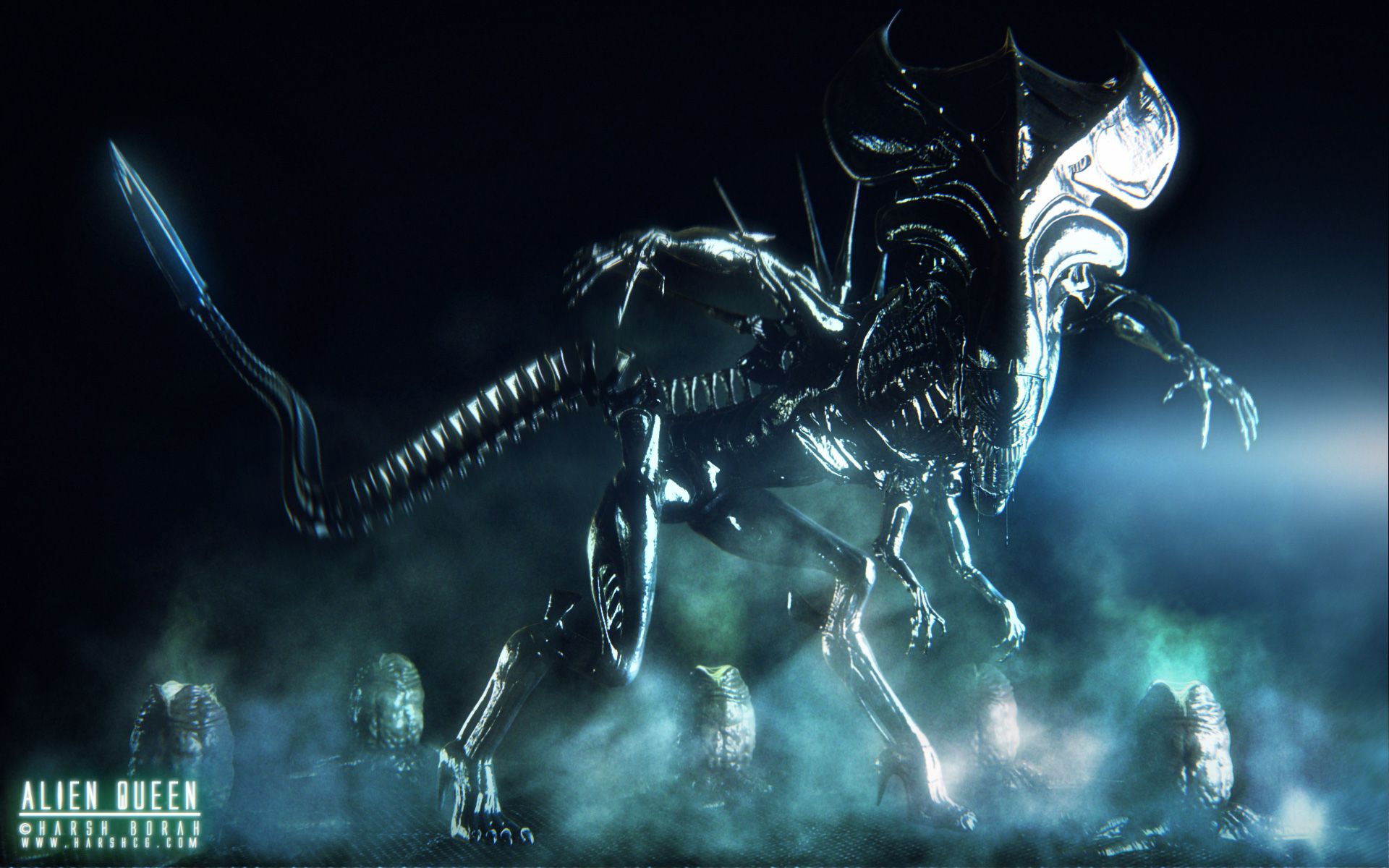 Xenomorph Queen
 Wallpapers