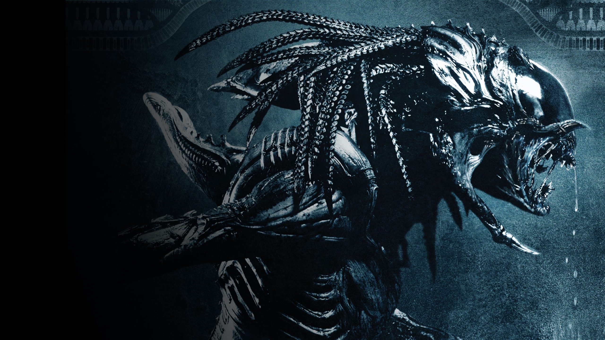 Xenomorph Queen
 Wallpapers