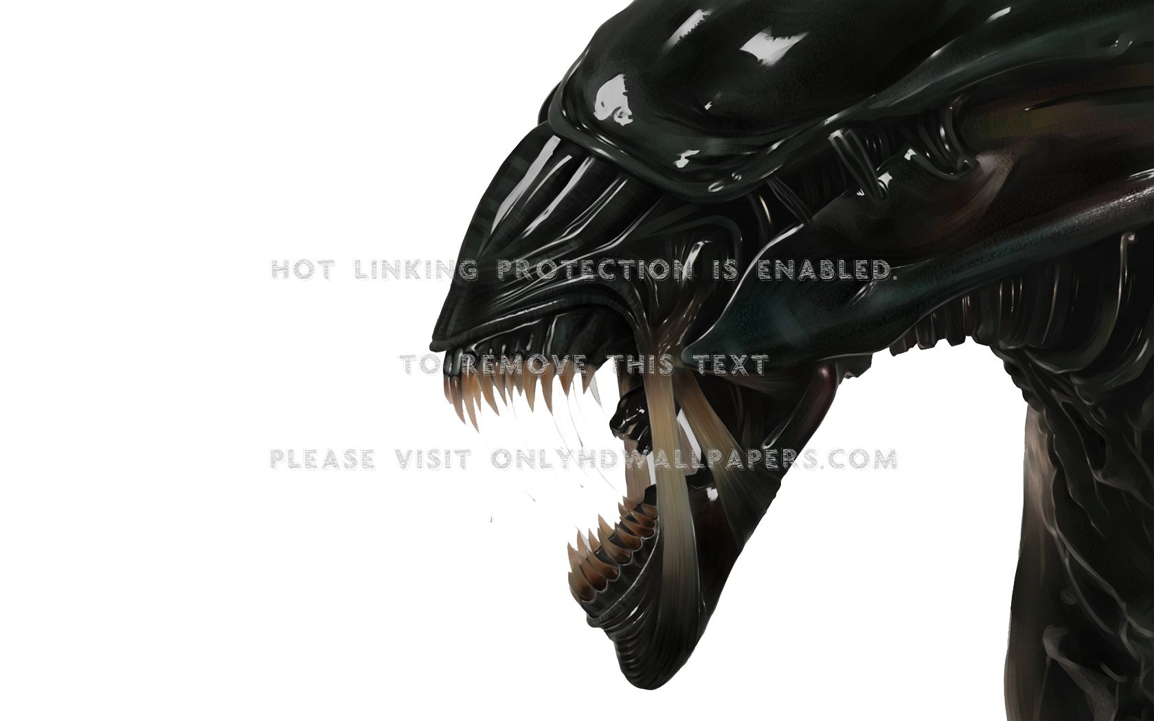 Xenomorph Queen Wallpapers