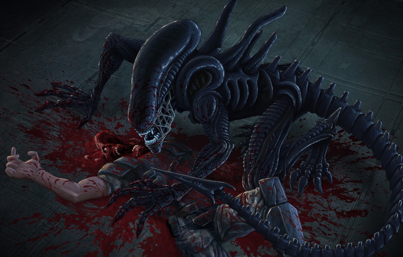 Xenomorph Wallpapers