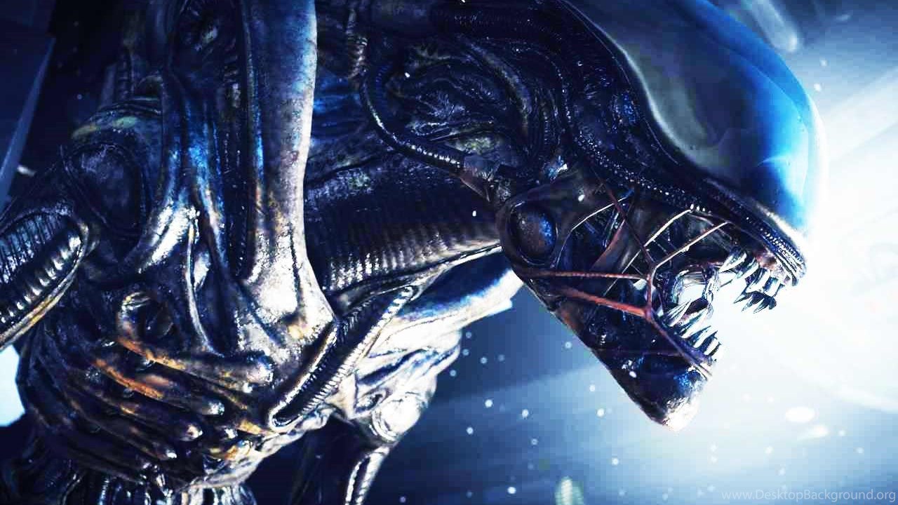 Xenomorph Wallpapers