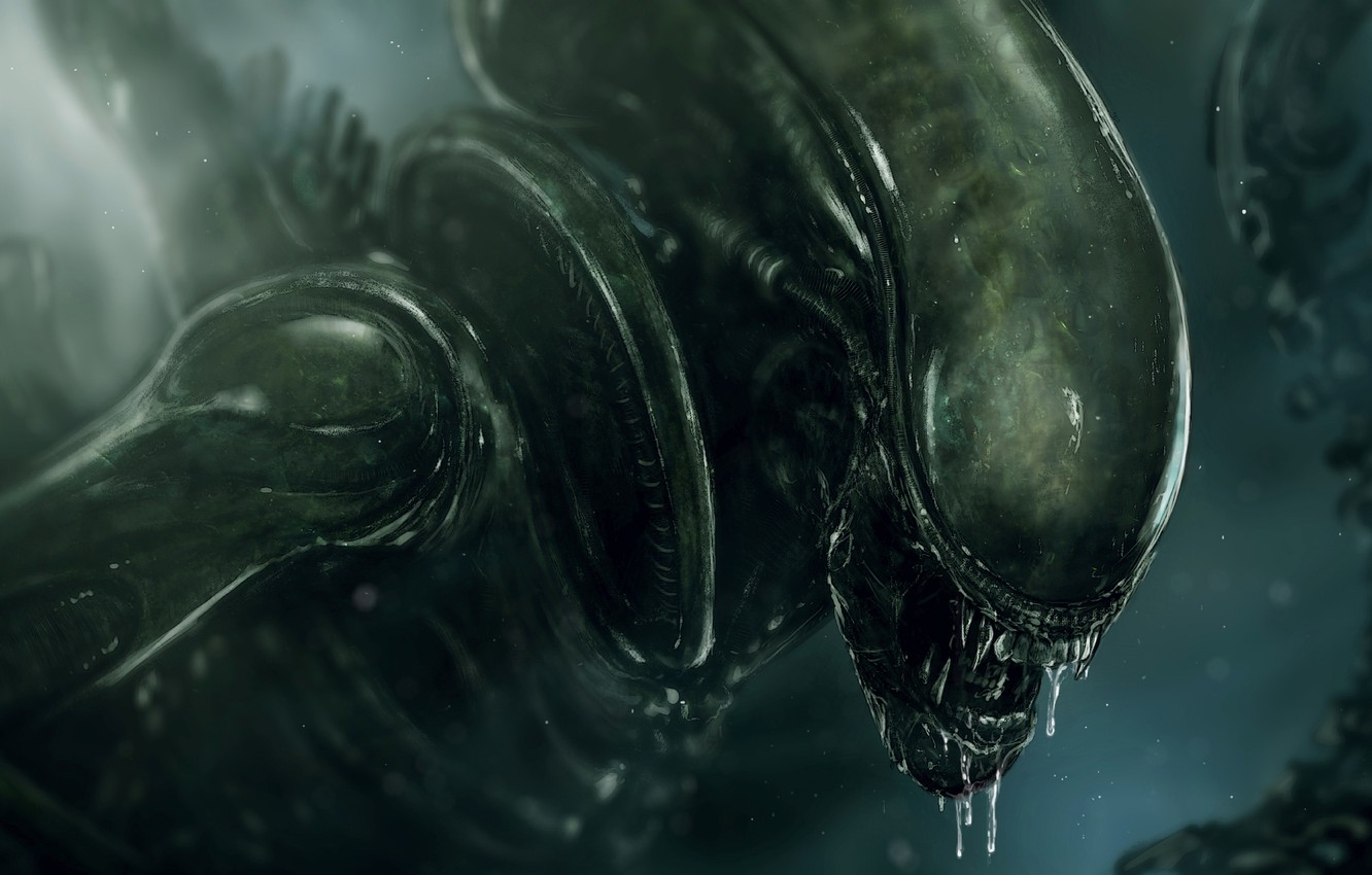 Xenomorph Wallpapers