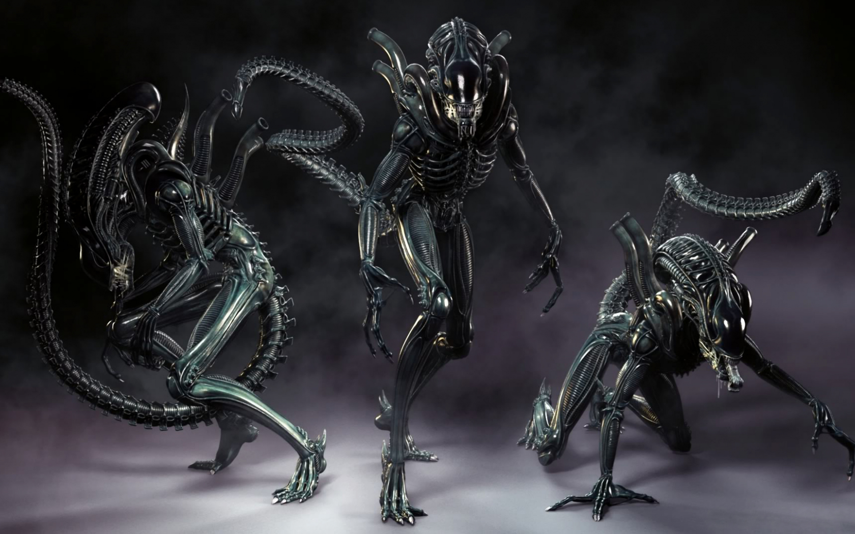 Xenomorph Wallpapers