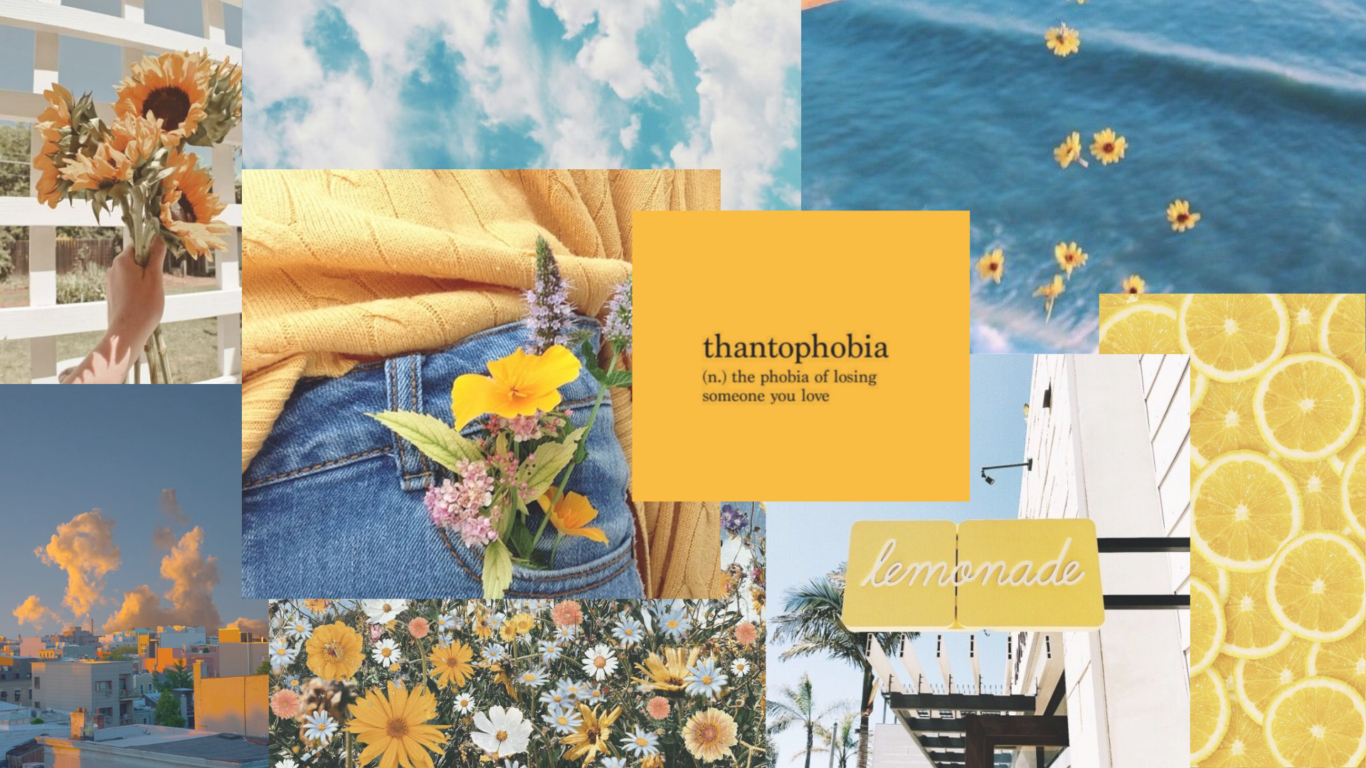 Yellow Aesthetic Flower Desktop Wallpapers