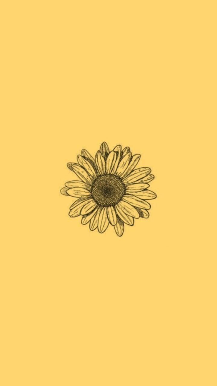 Yellow Aesthetic Flower Desktop Wallpapers