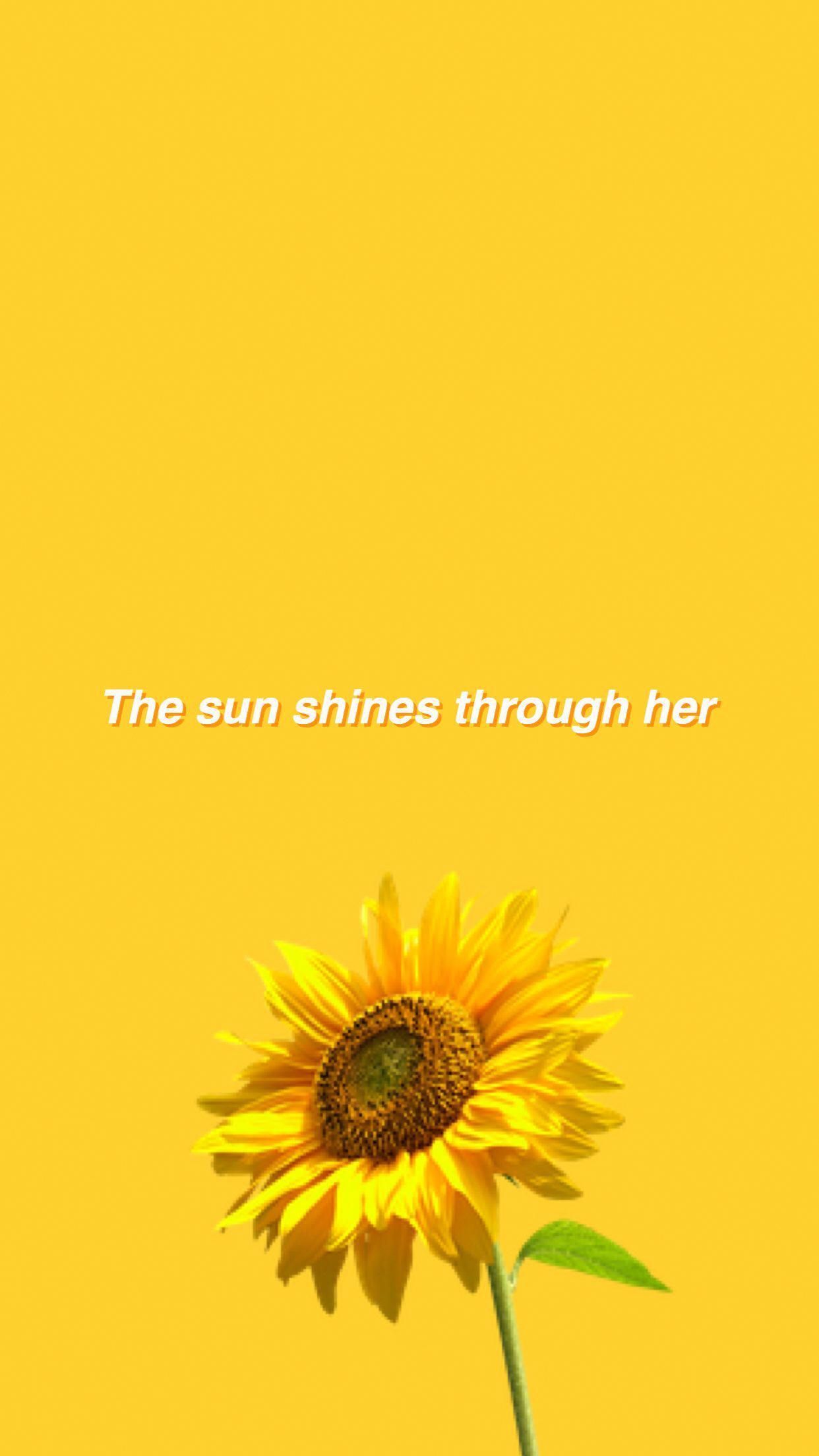 Yellow Aesthetic Sunflower Wallpapers