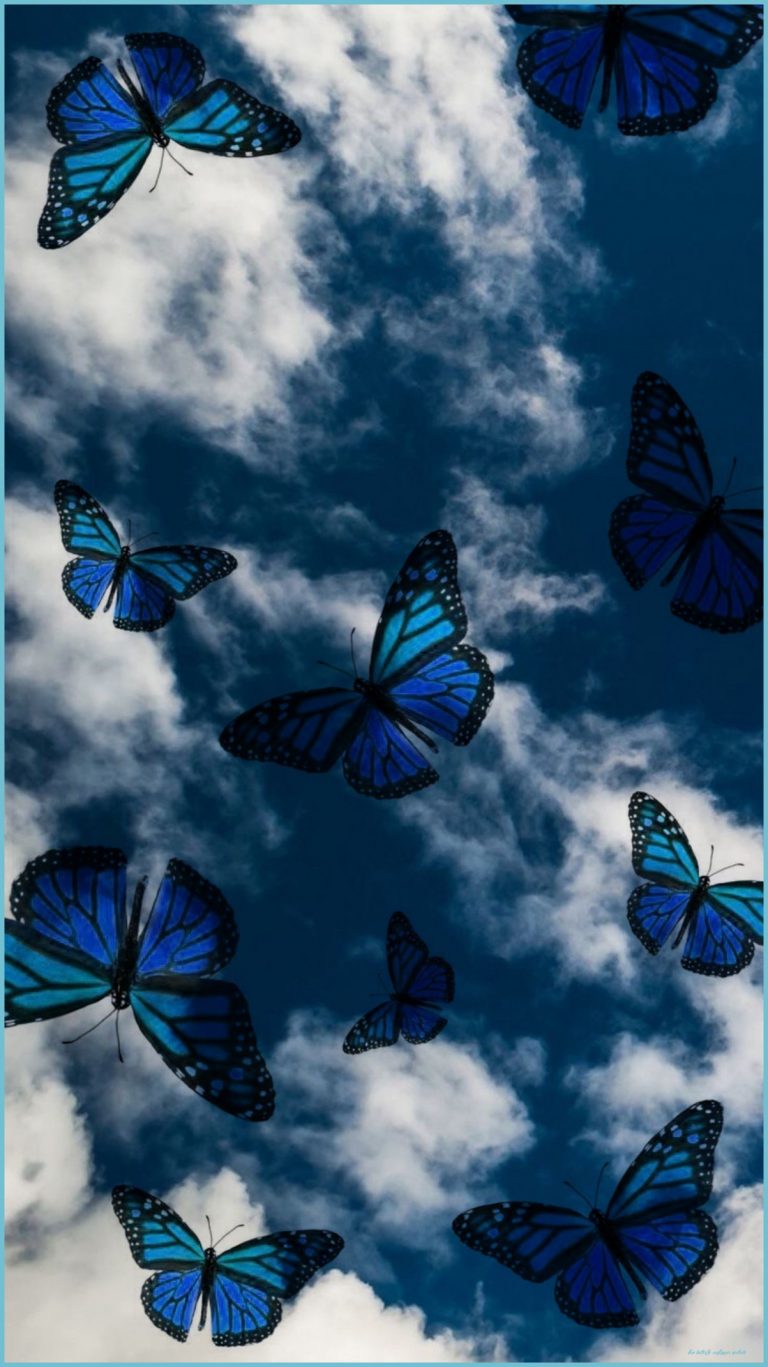 Yellow And Blue Butterfly Wallpapers