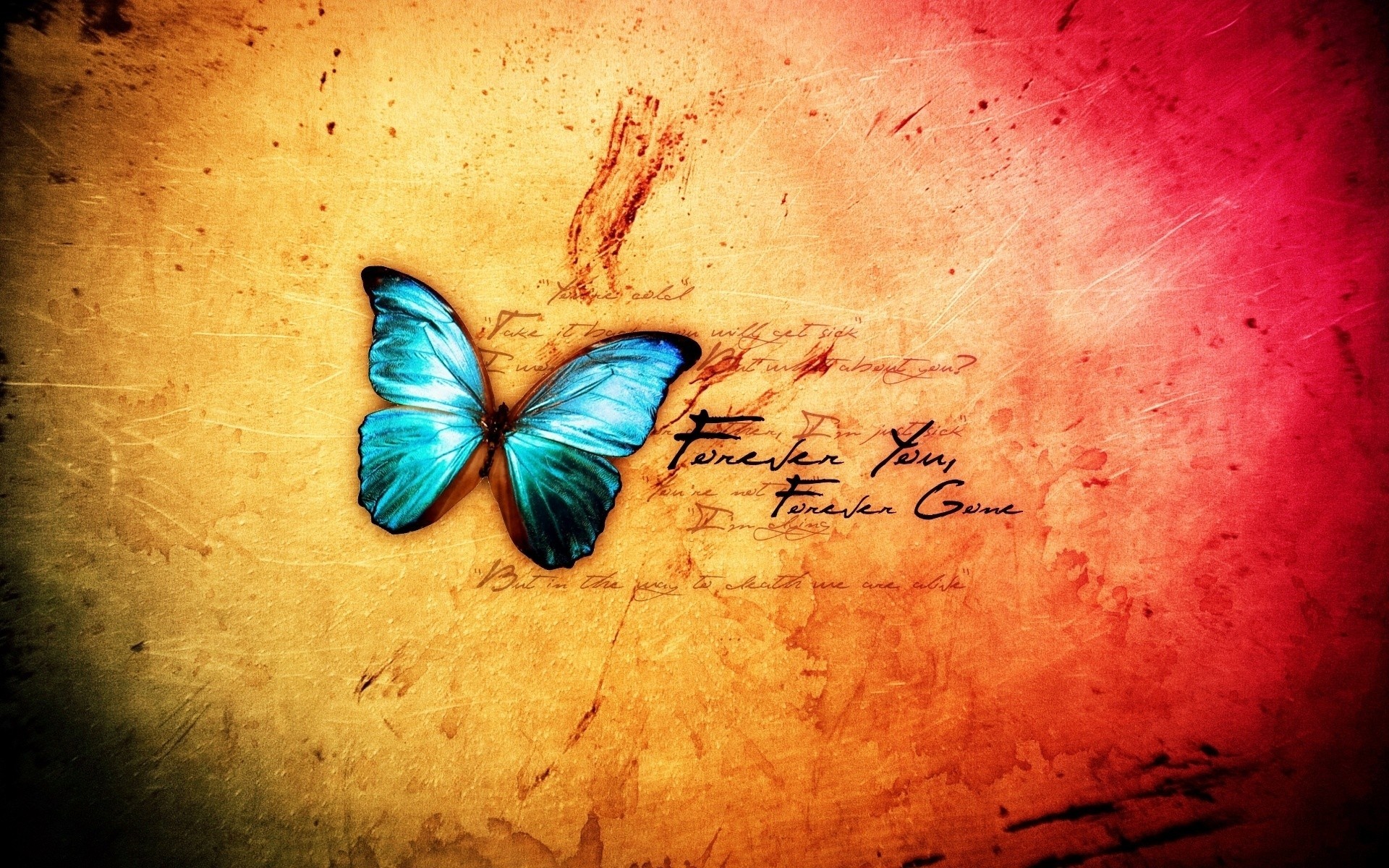 Yellow And Blue Butterfly Wallpapers