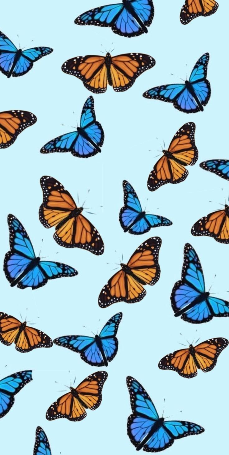 Yellow And Blue Butterfly Wallpapers