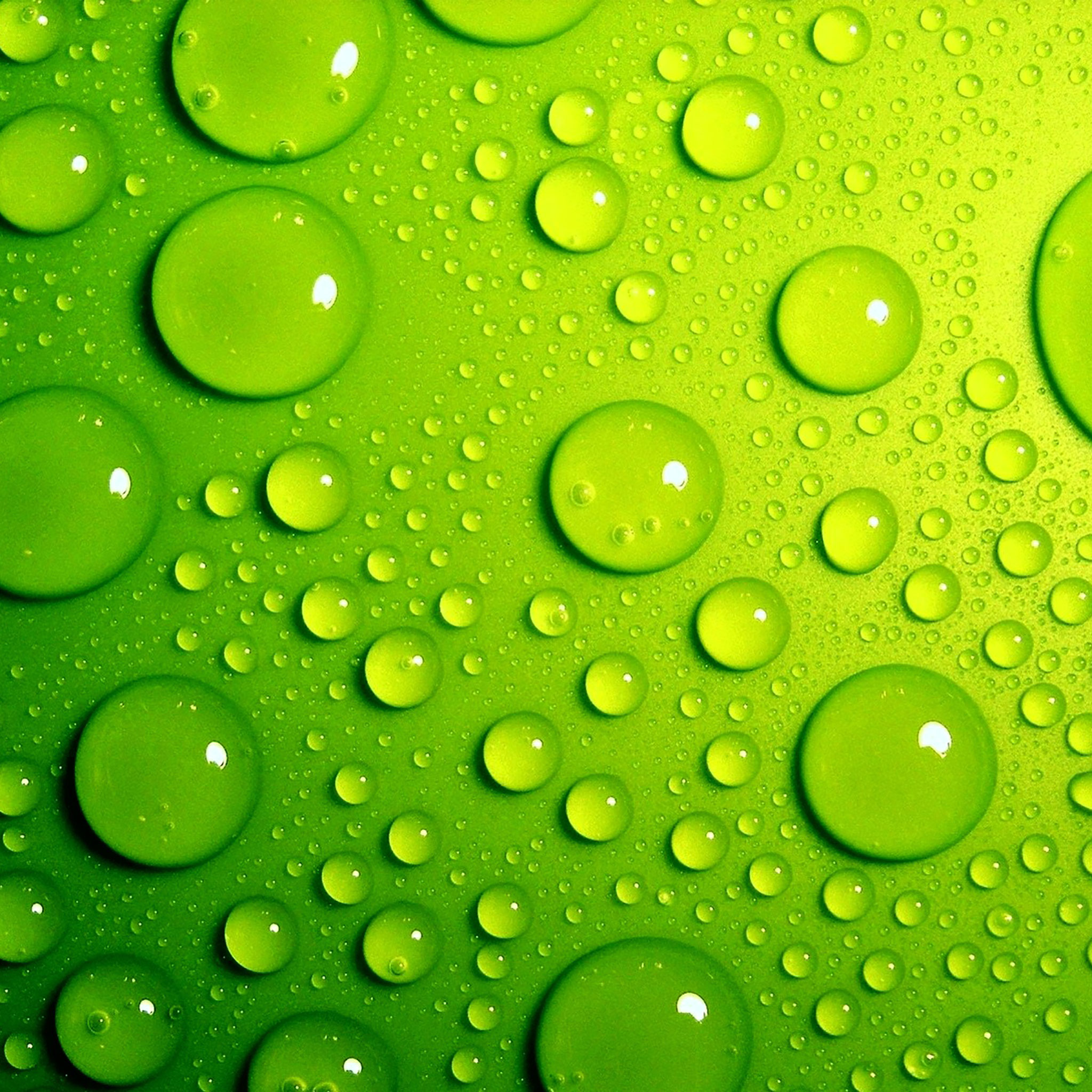 Green bubbles. Зеленые обои. Салатовые обои. Яркие обои. Салатовый фон.