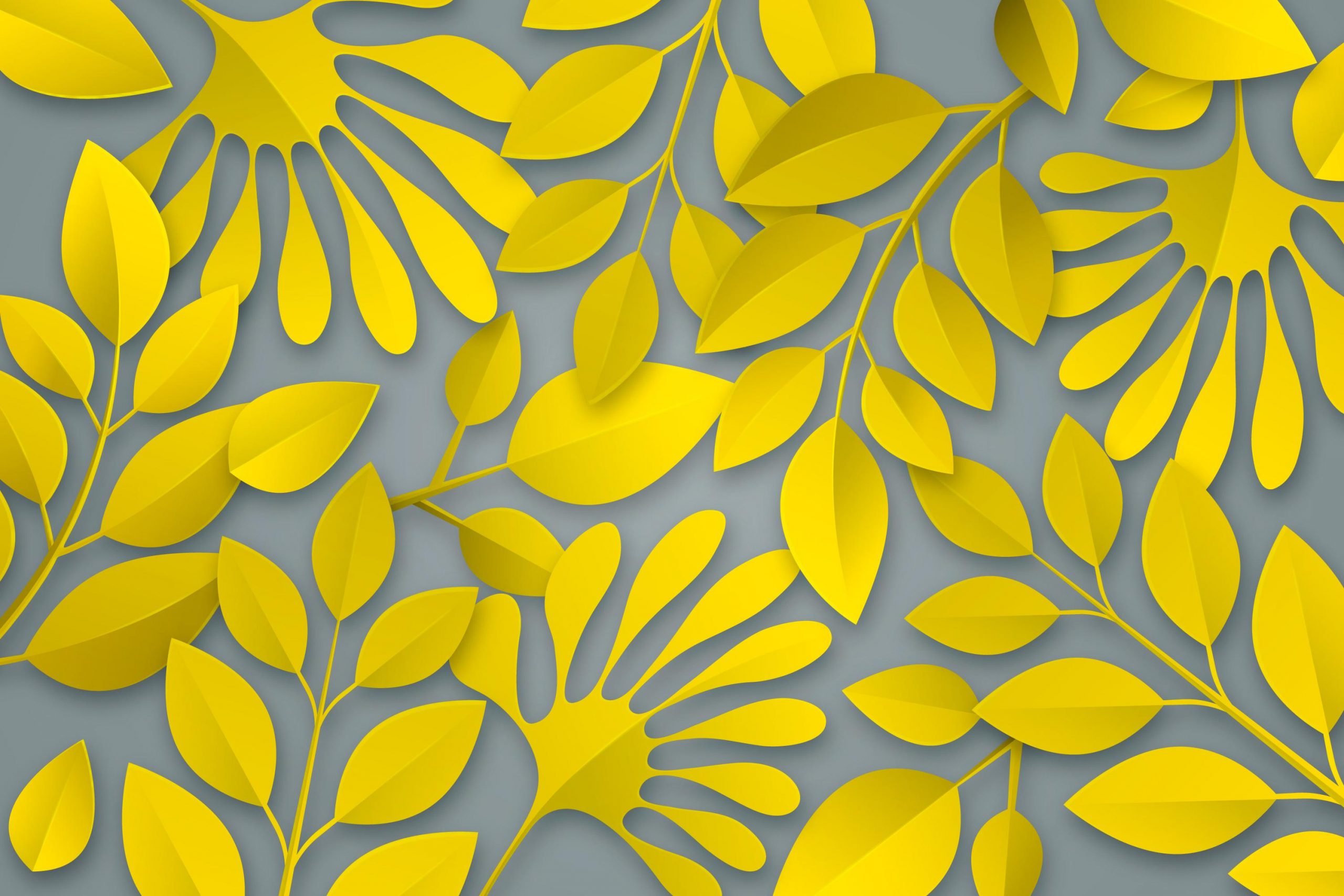 Yellow And Grey Background