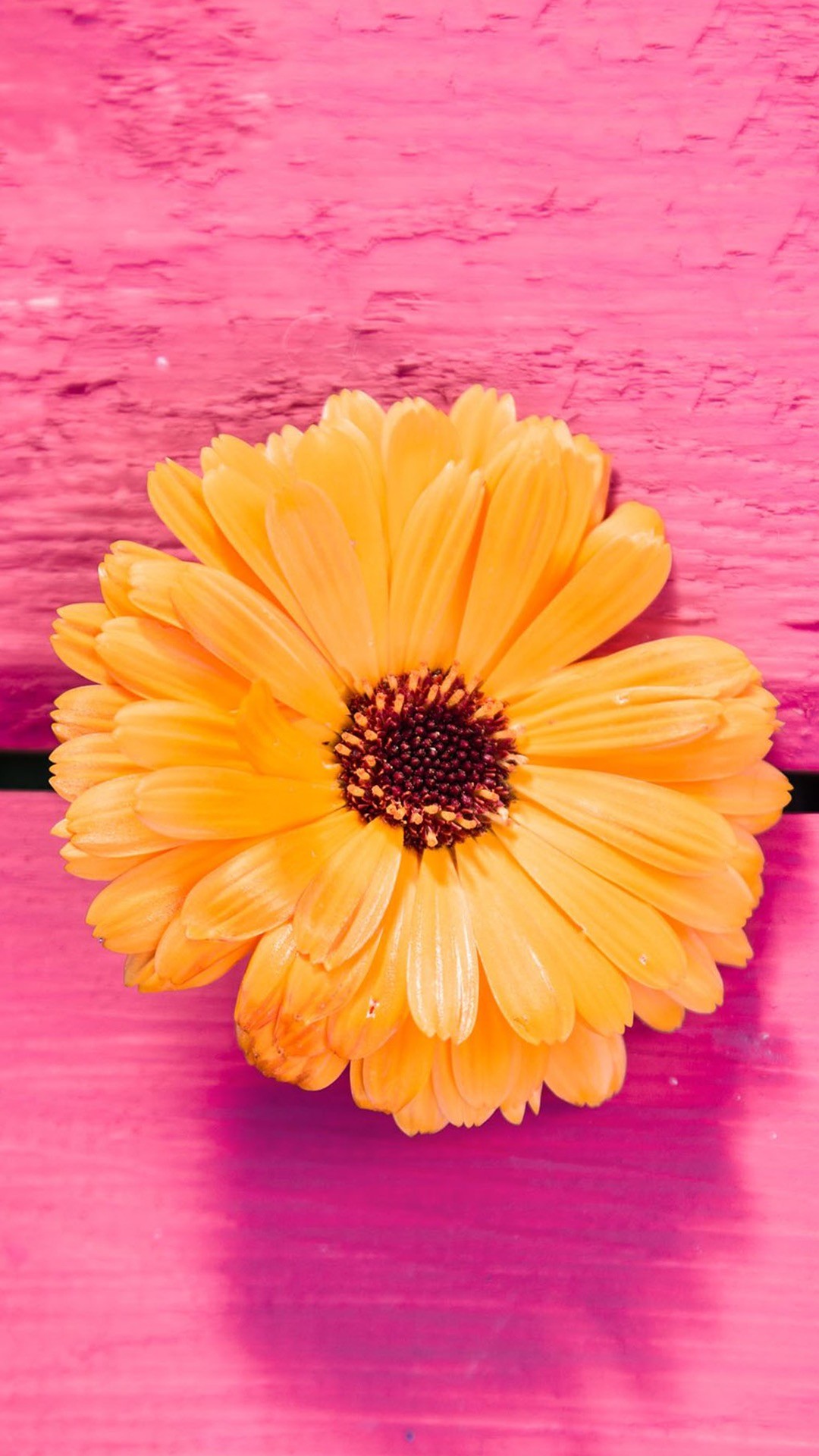 Yellow And Pink Wallpapers