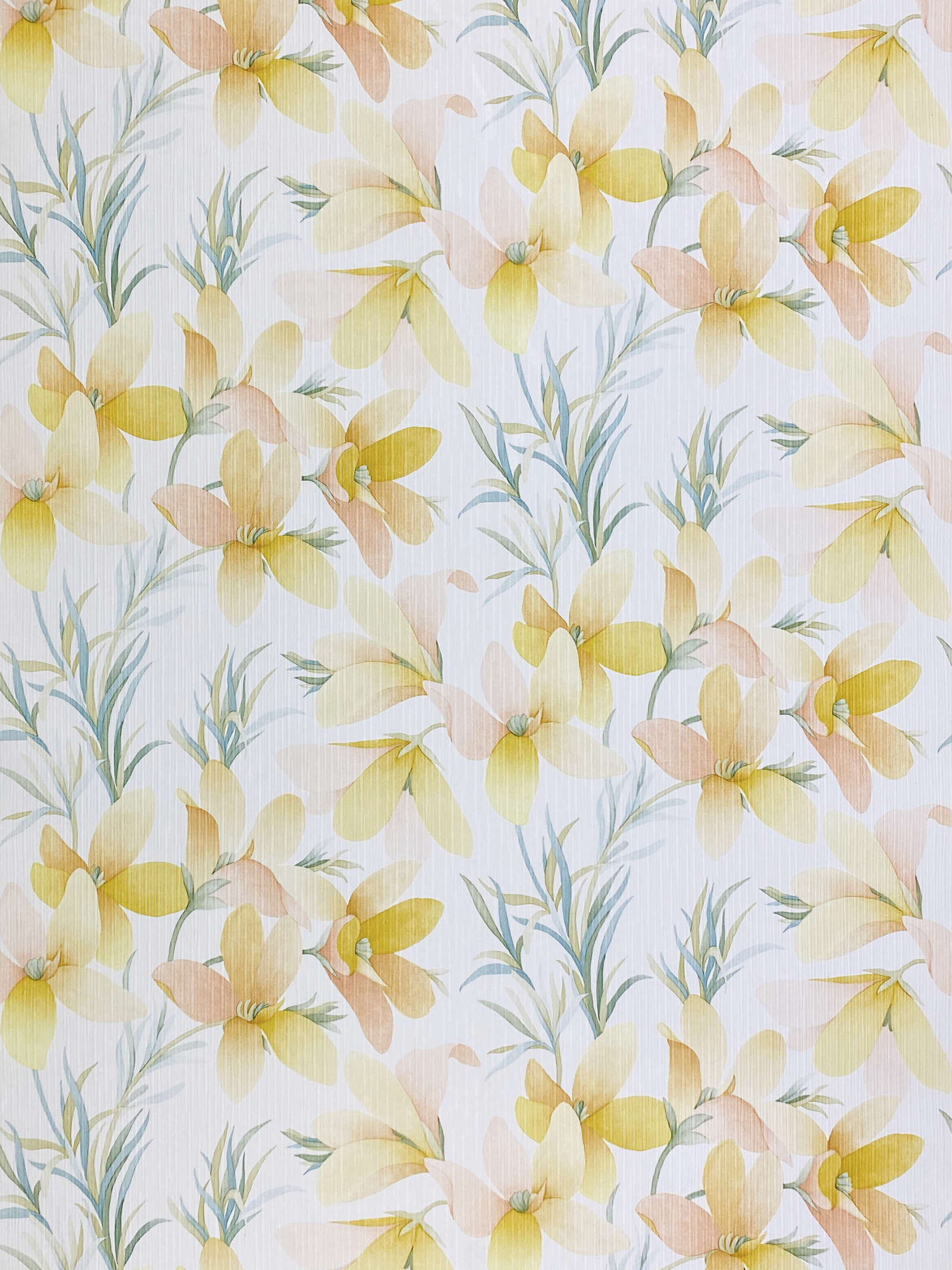 Yellow And White Flower Wallpapers