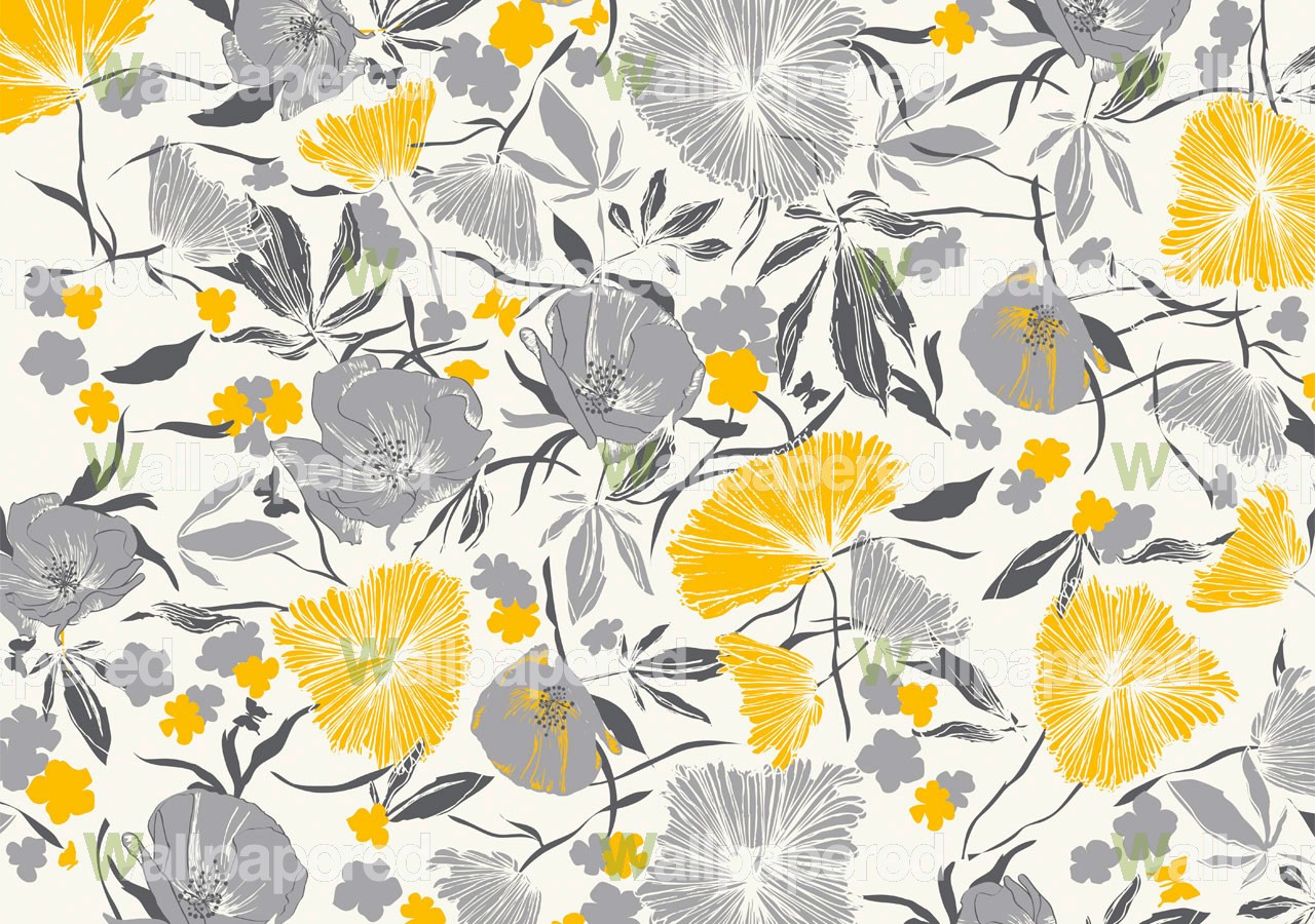 Yellow And White Flower Wallpapers