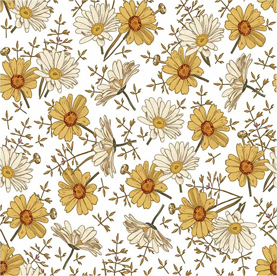 Yellow And White Flower Wallpapers