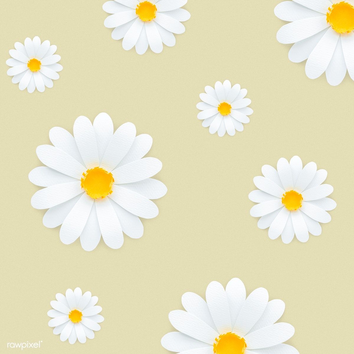 Yellow And White Flower Wallpapers