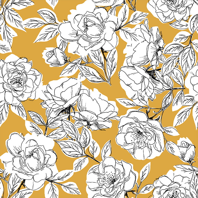 Yellow And White Flower Wallpapers