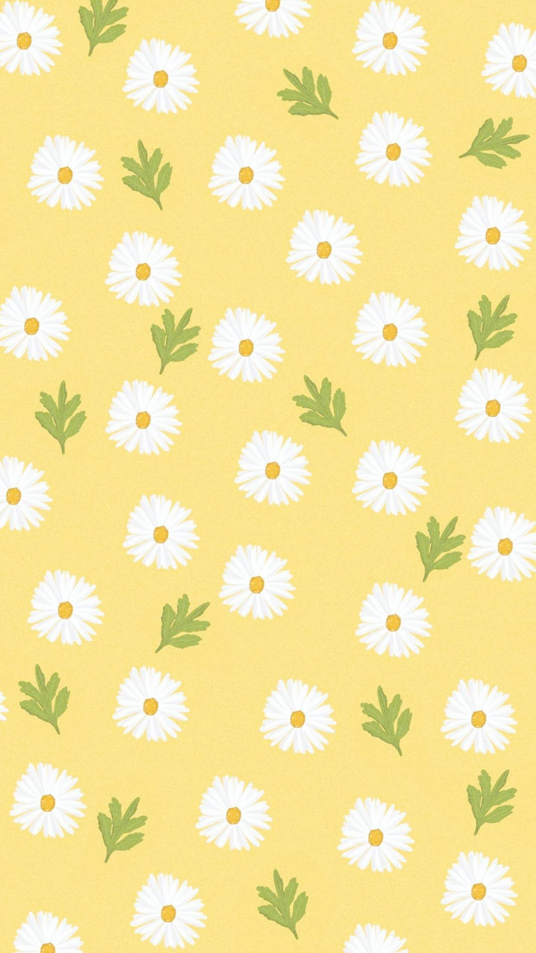 Yellow And White Wallpapers