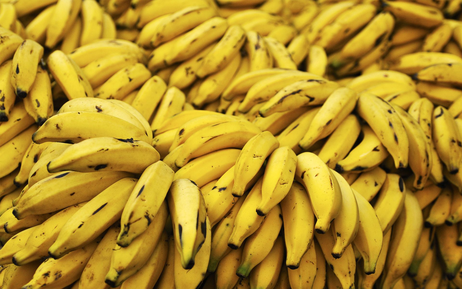 Yellow Banana Aesthetic Computer Wallpapers