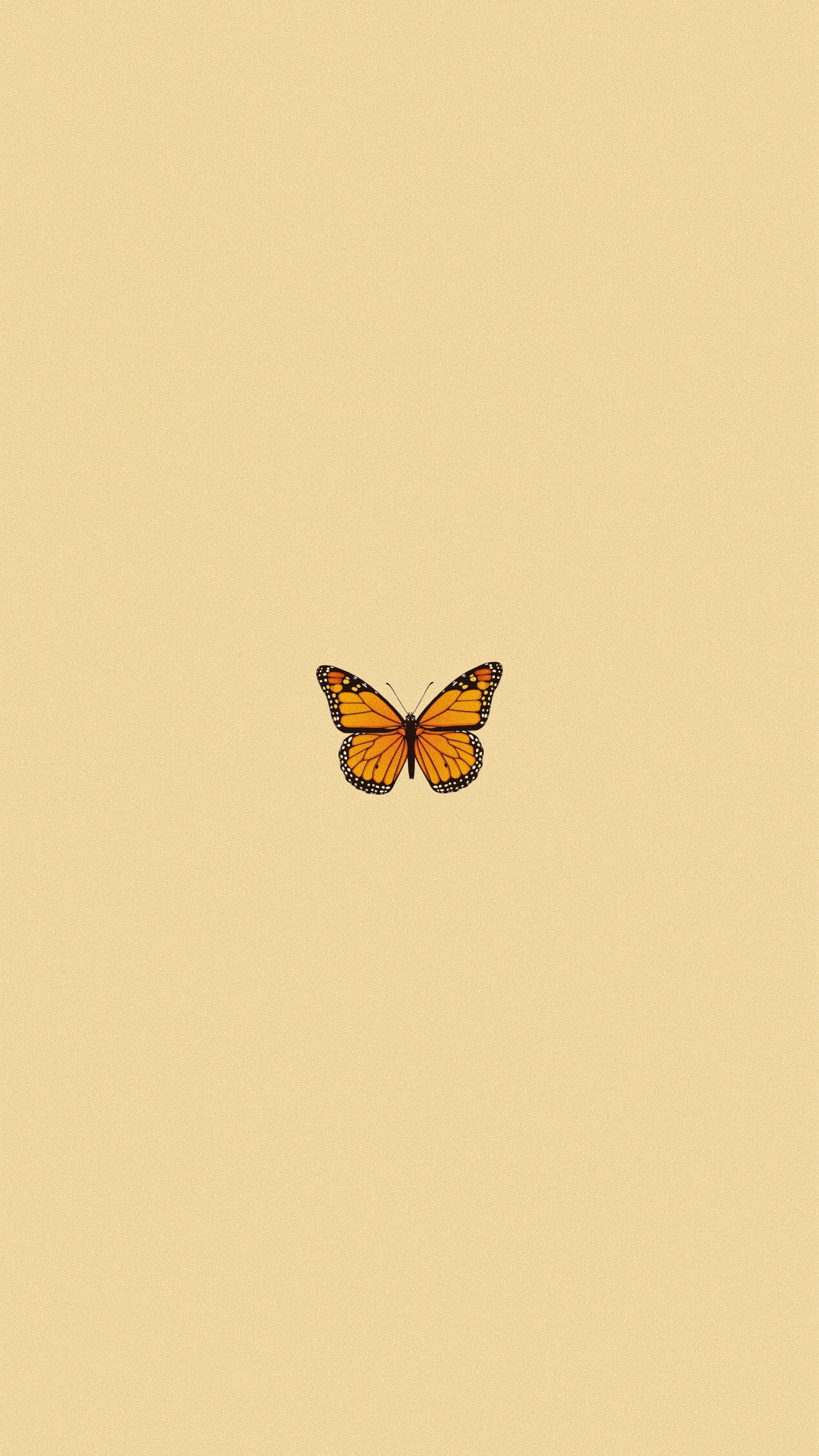 Yellow Butterfly Aesthetic Wallpapers