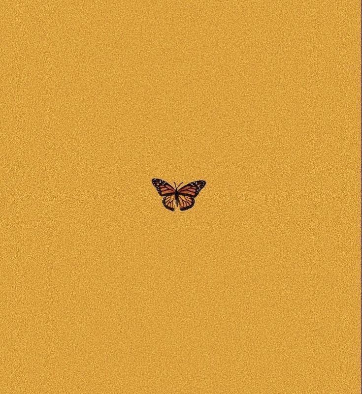 Yellow Butterfly Aesthetic Wallpapers