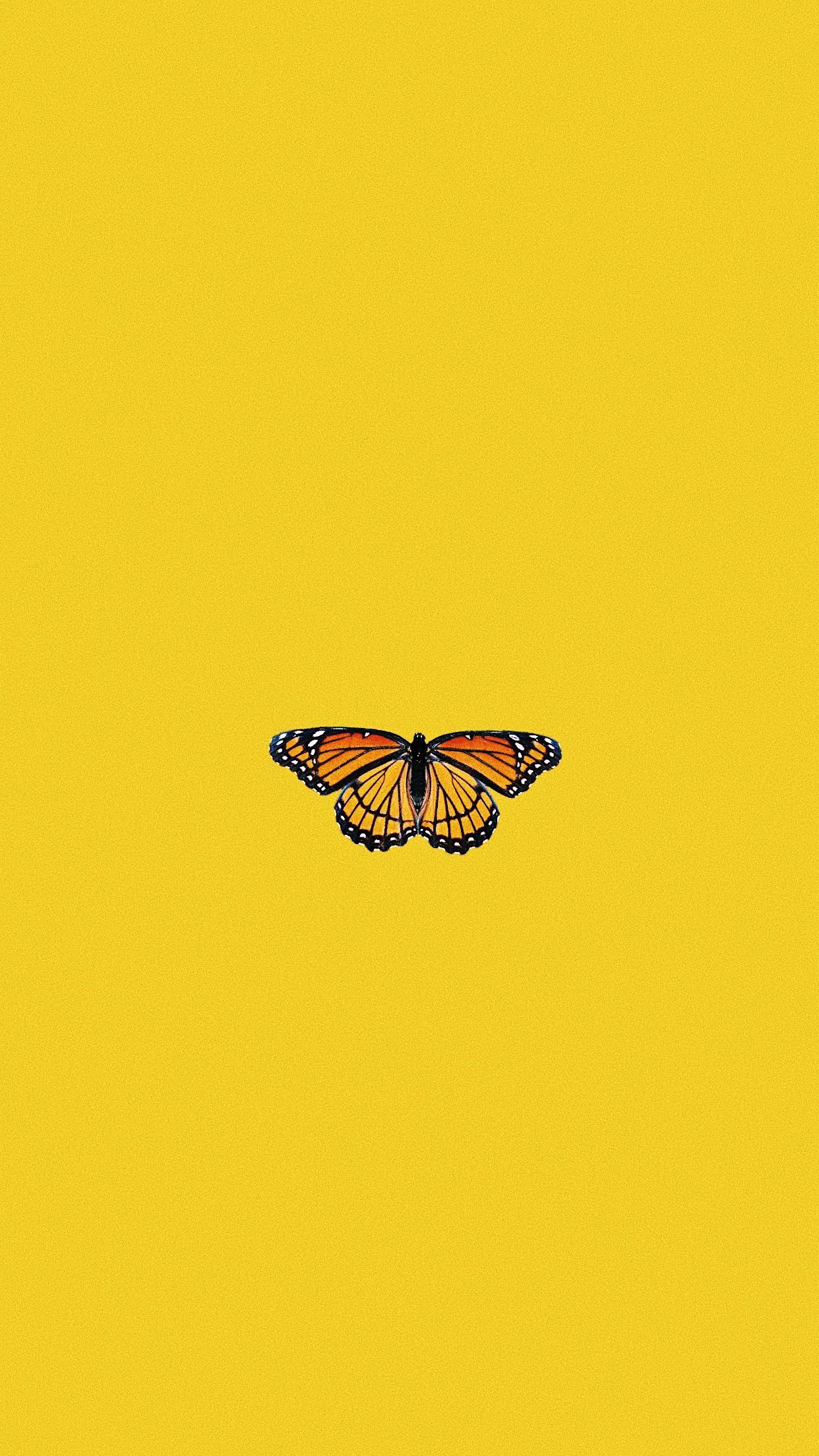 Yellow Butterfly Aesthetic Wallpapers