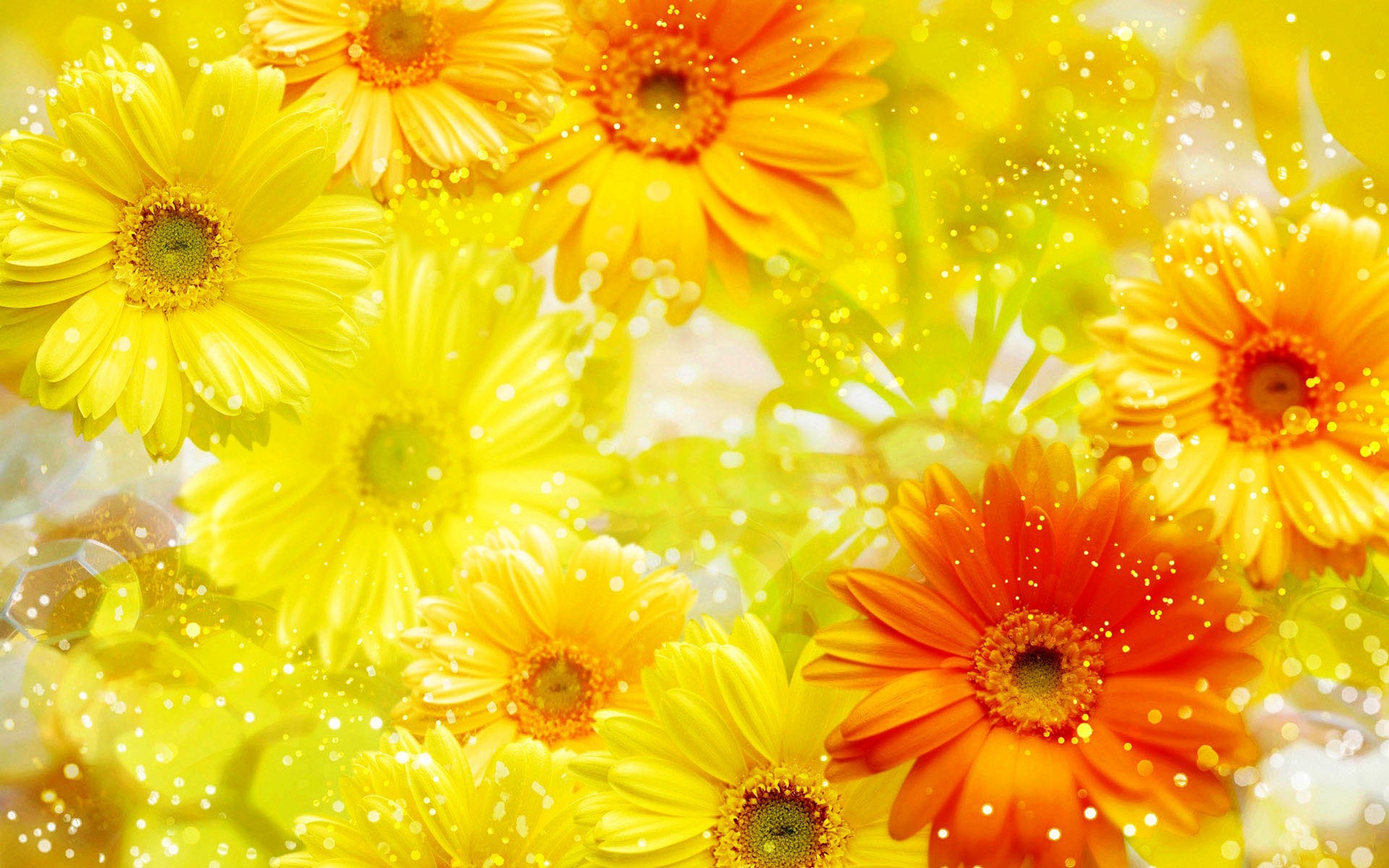 Yellow Flower Wallpapers