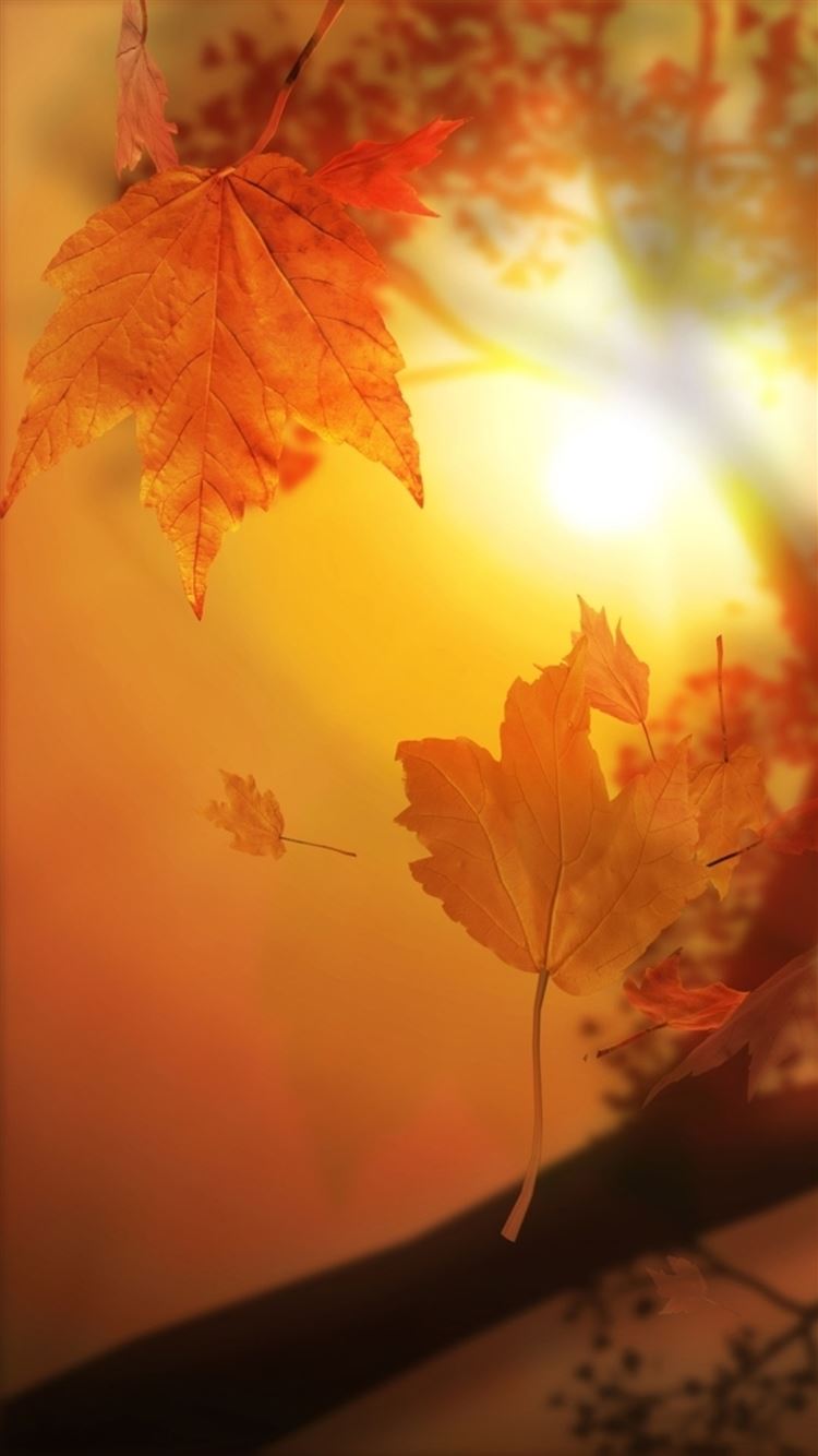 Yellow Nature Wallpapers