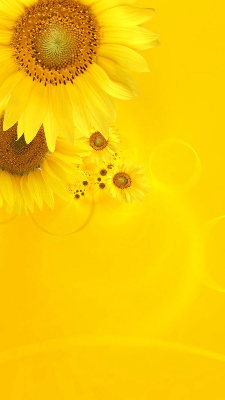 Yellow Photography Wallpapers