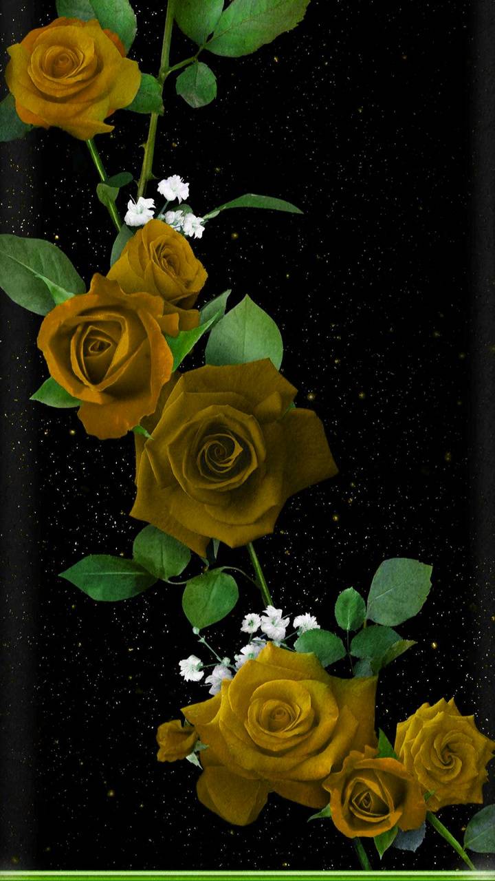 Yellow Rose Aesthetic Wallpapers