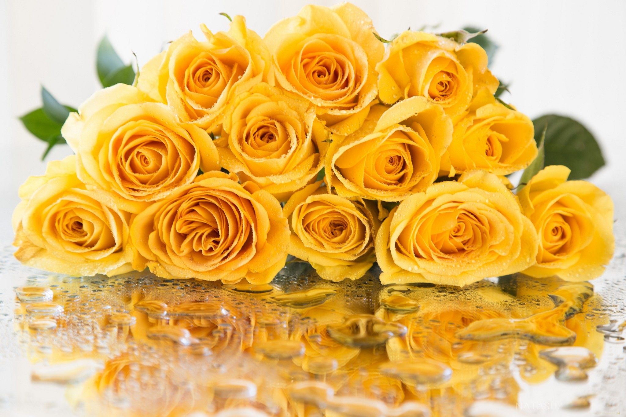 Yellow Roses Wallpapers