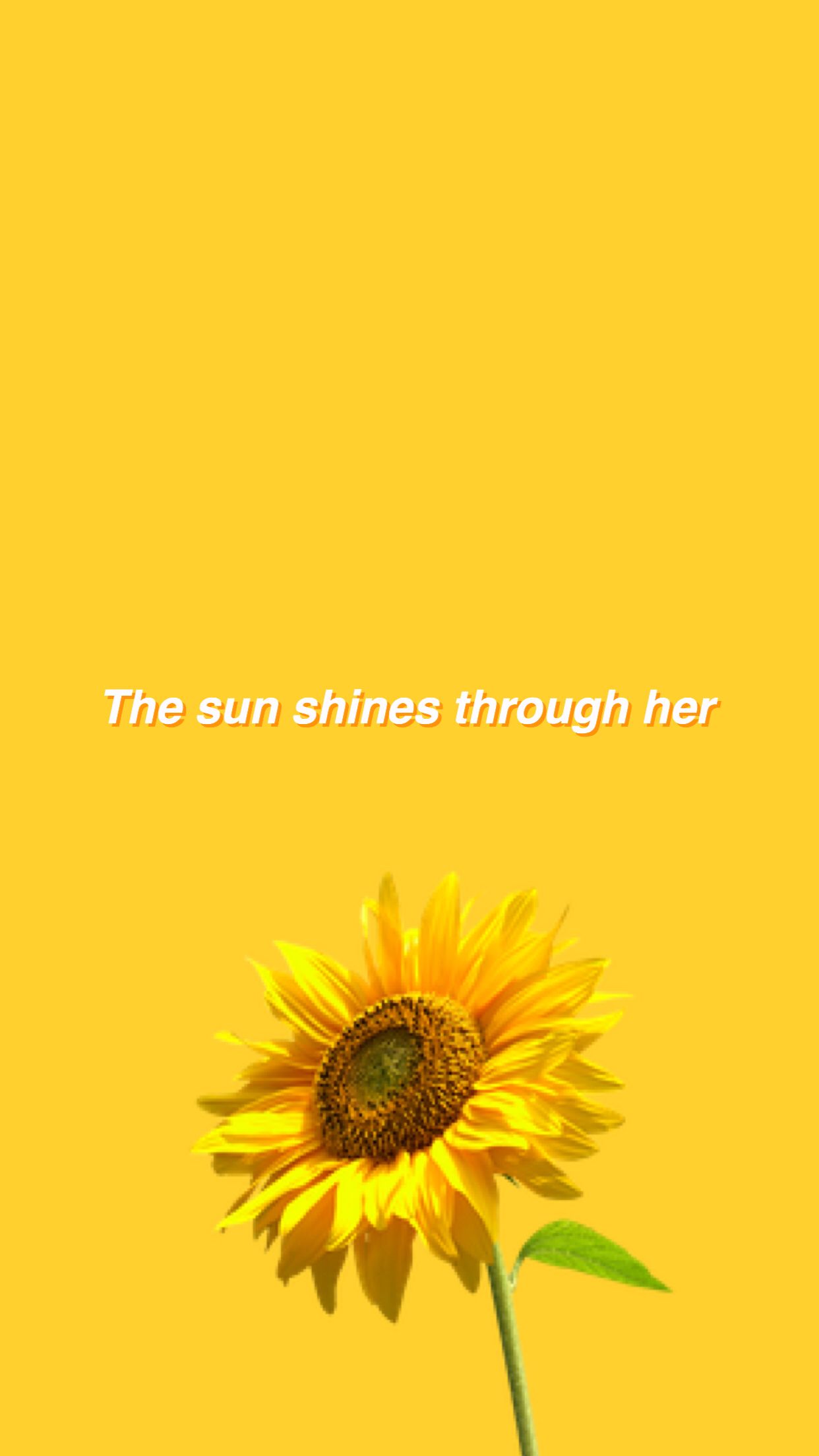 Yellow Sunflower Aesthetic Wallpapers