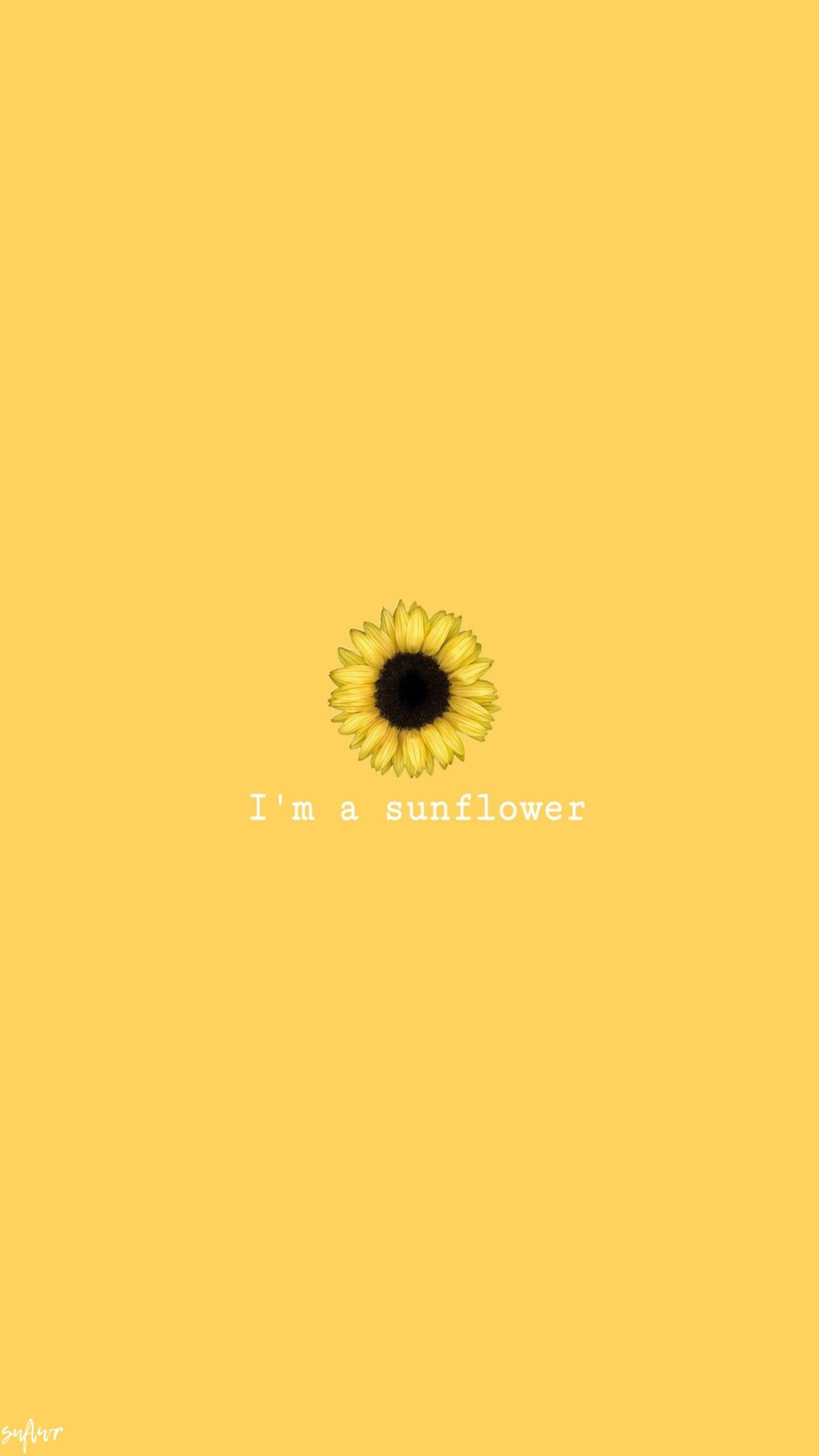 Yellow Sunflower Wallpapers