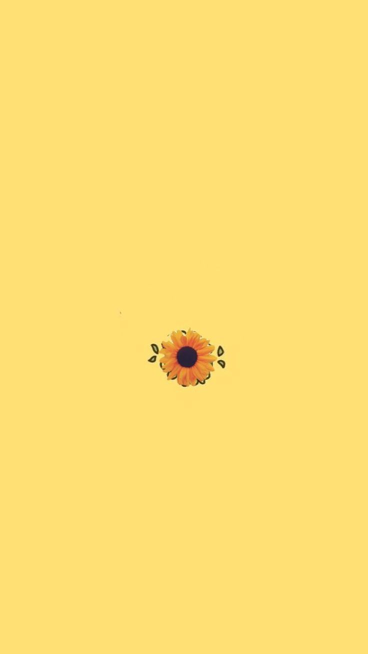 Yellow Sunflower Wallpapers