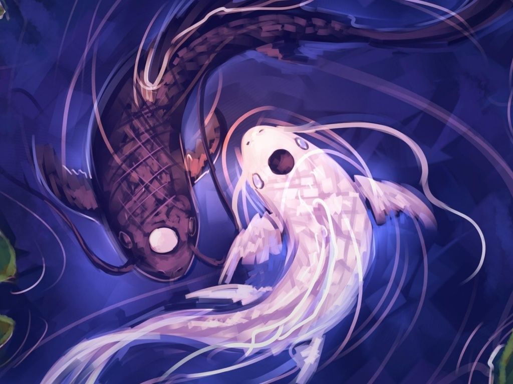 Yin Yang Koi Fish Wallpapers