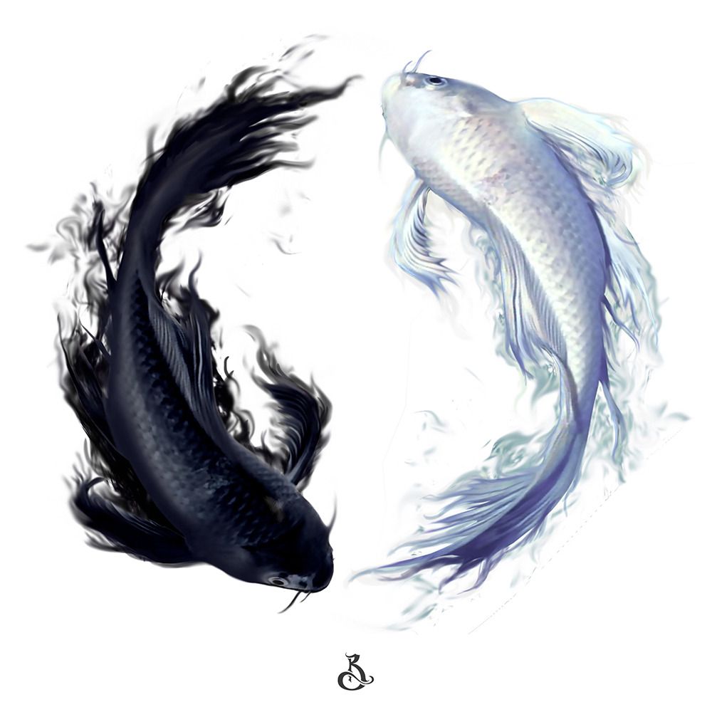 Yin Yang Koi Fish Wallpapers