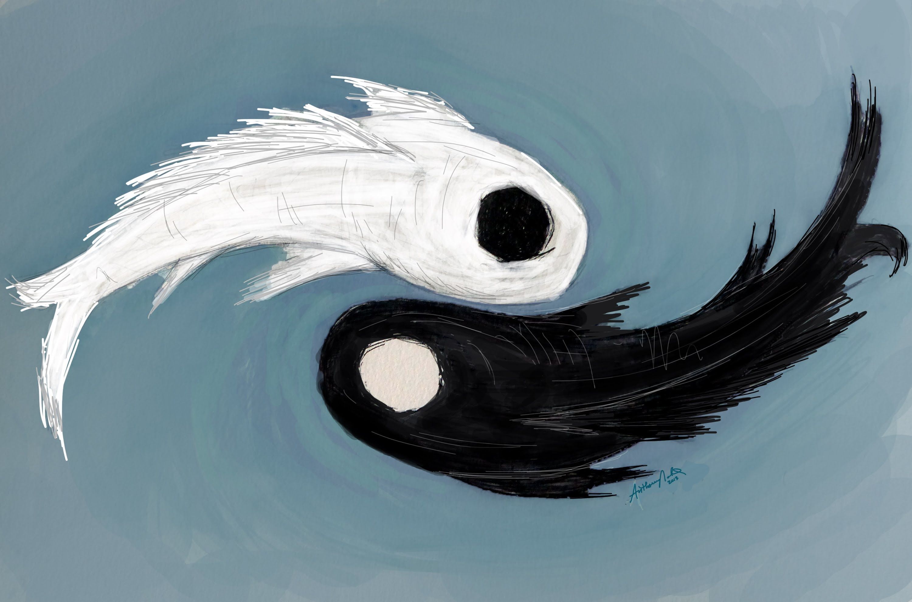 Yin Yang Koi Fish Wallpapers