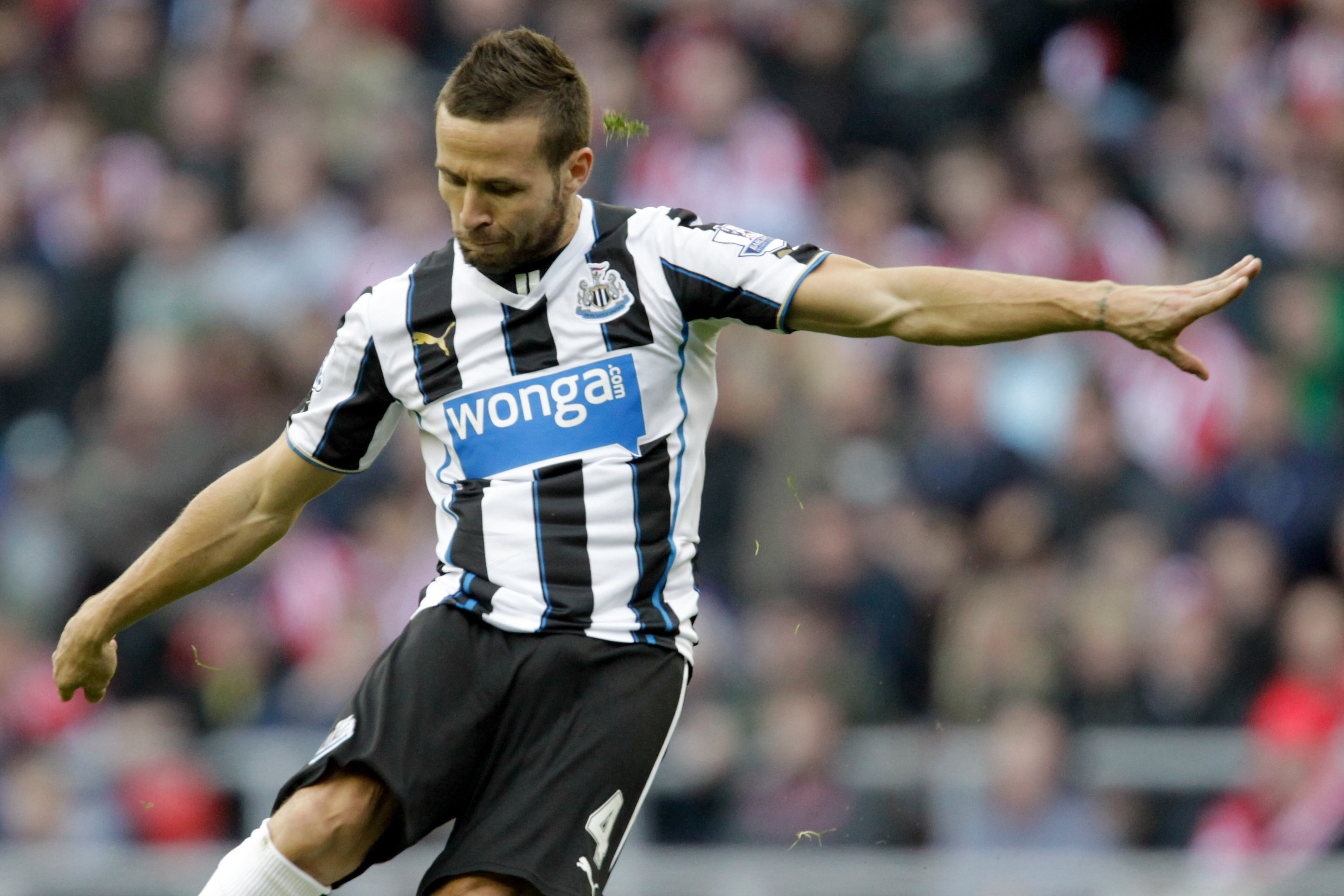 Yohan Cabaye Wallpapers