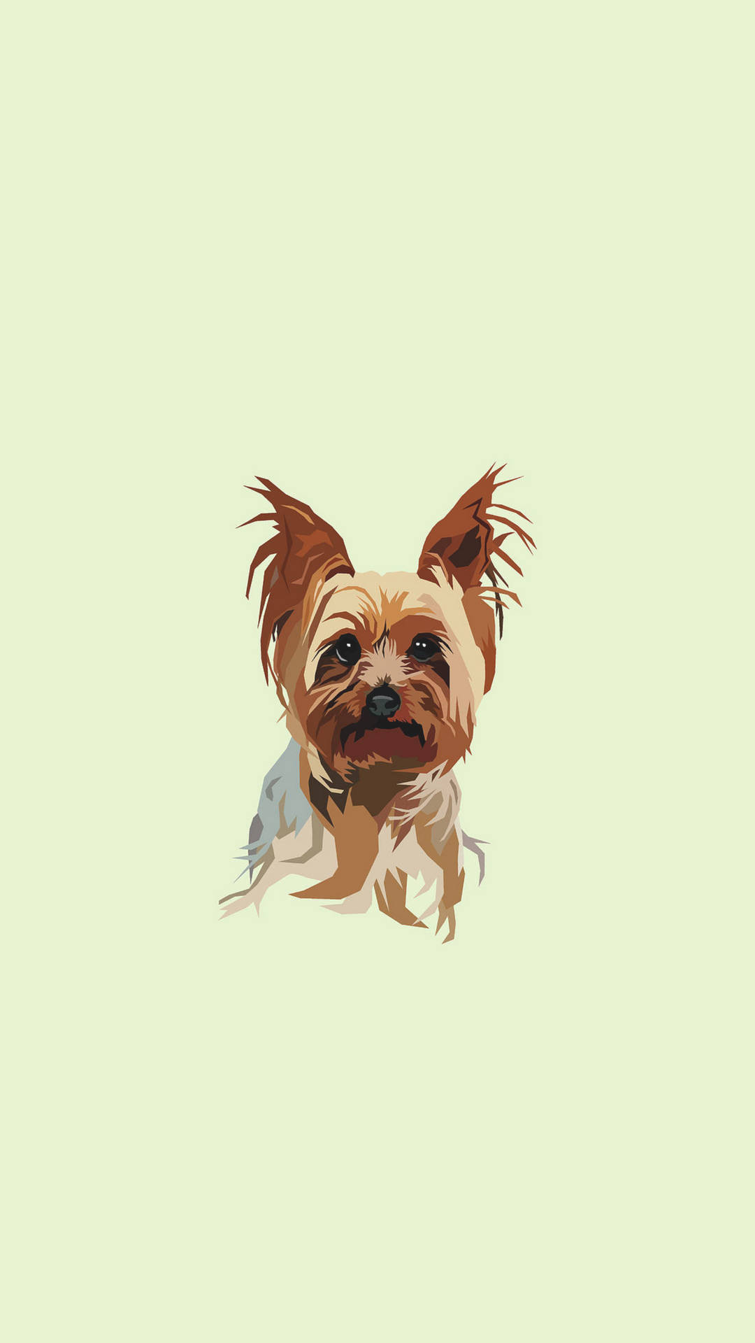 Yorkshire Terriers Wallpapers