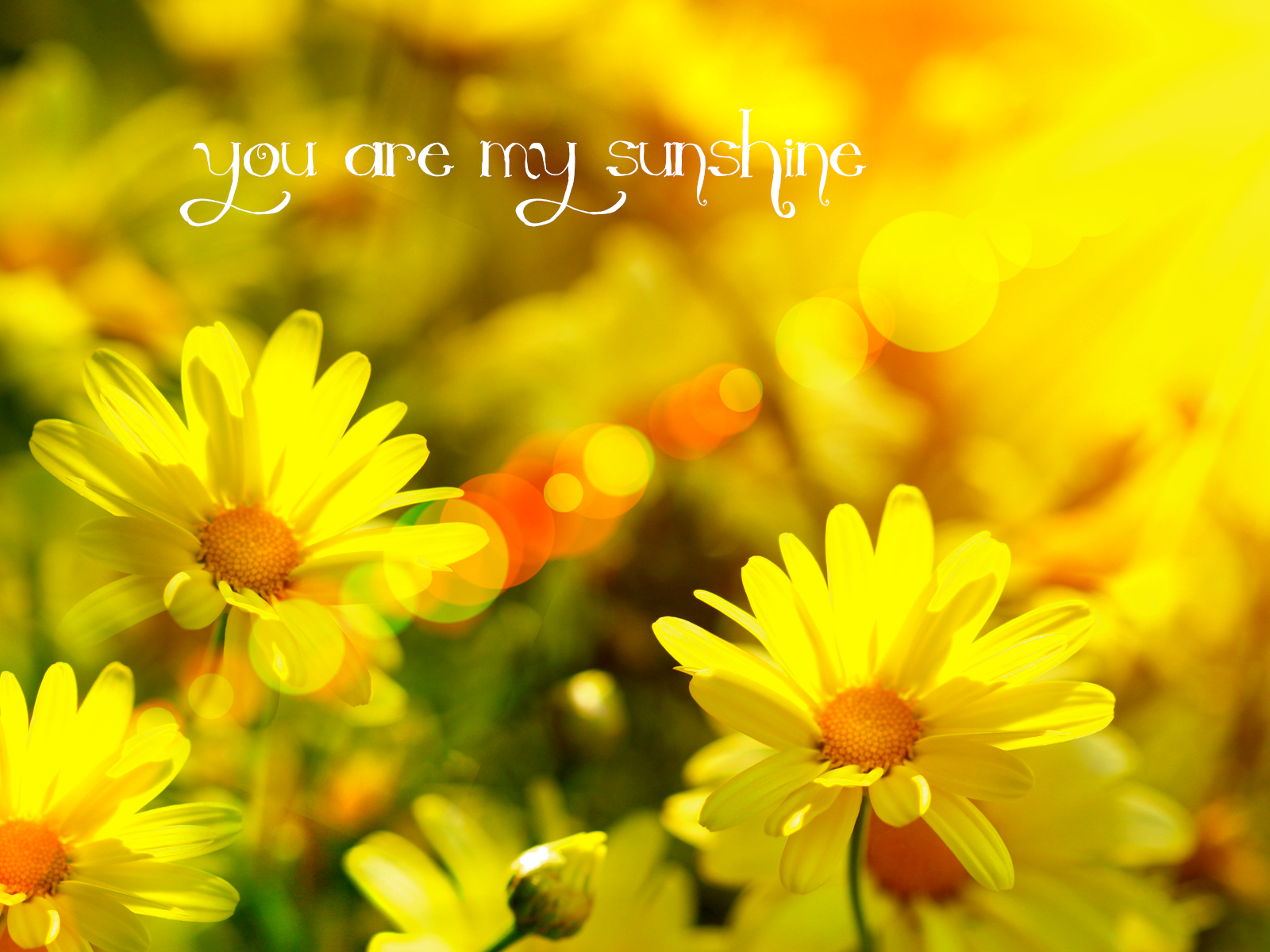 You Are My Sunshine Wallpapers