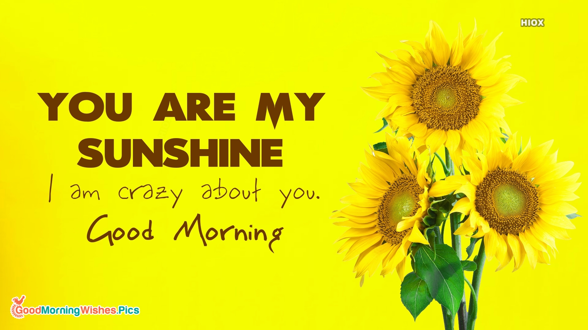 You Are My Sunshine Wallpapers