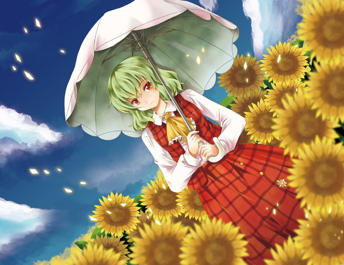 Yuuka Kazami Anime Wallpapers