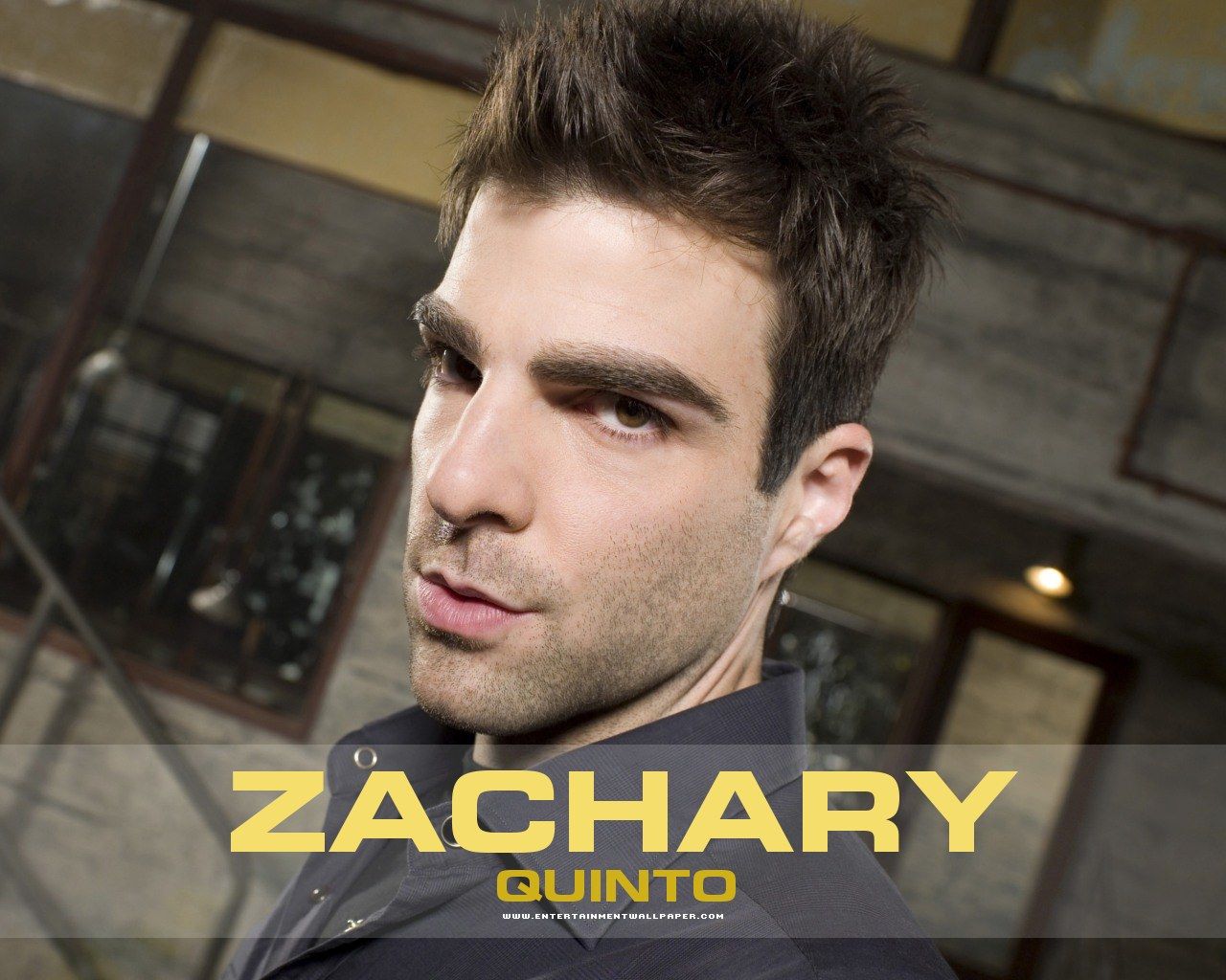 Zachary Quinto Wallpapers