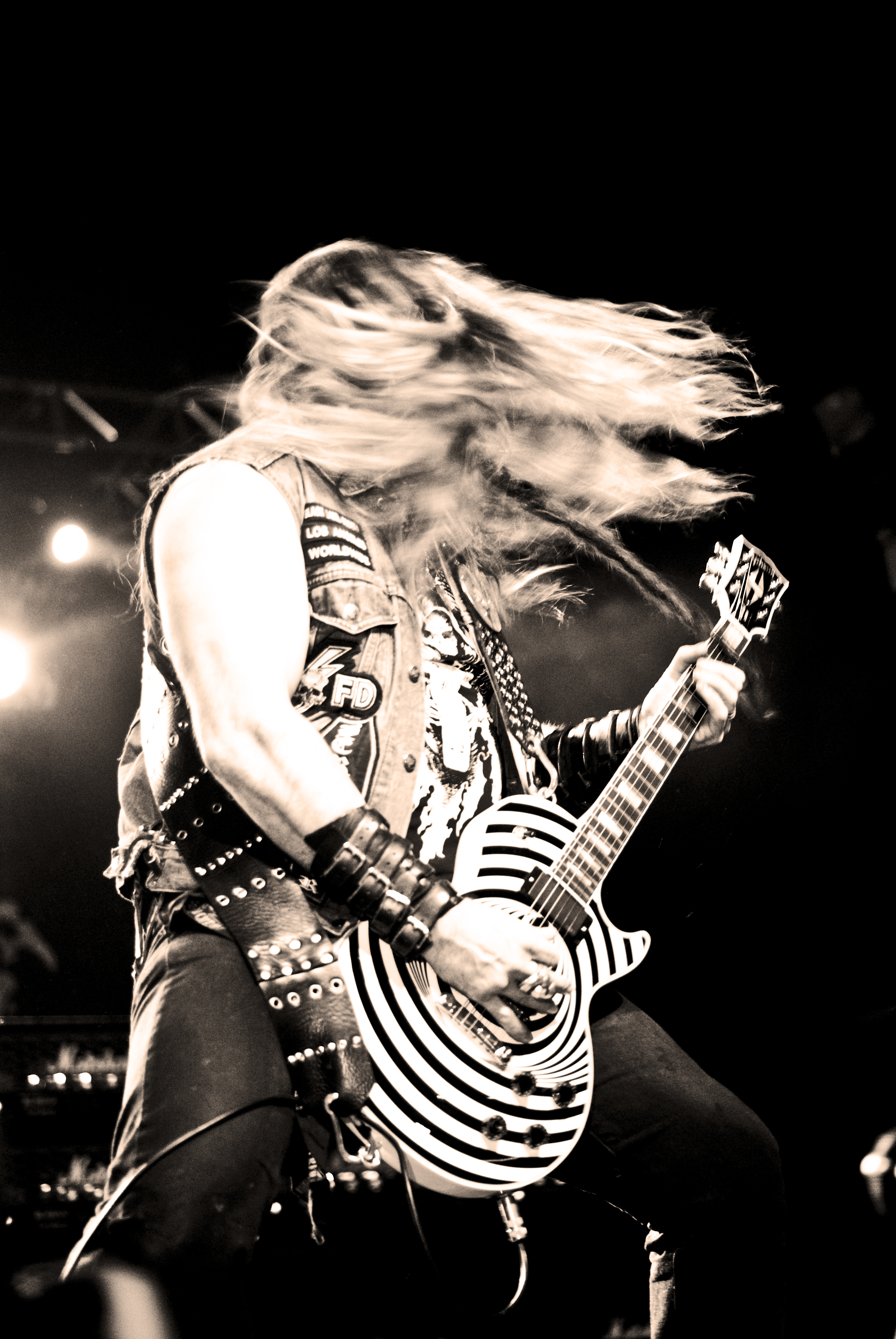 Zakk Wylde Wallpapers