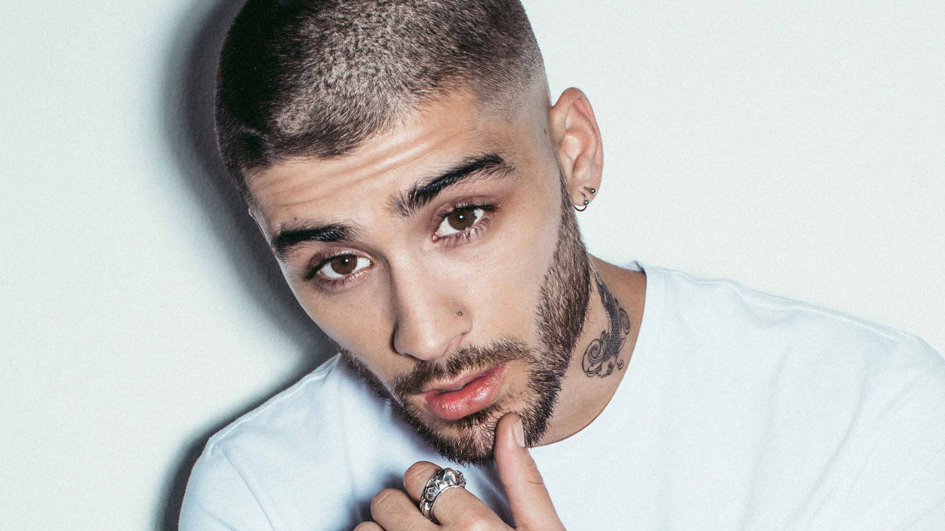 Zayn Malik Wallpapers