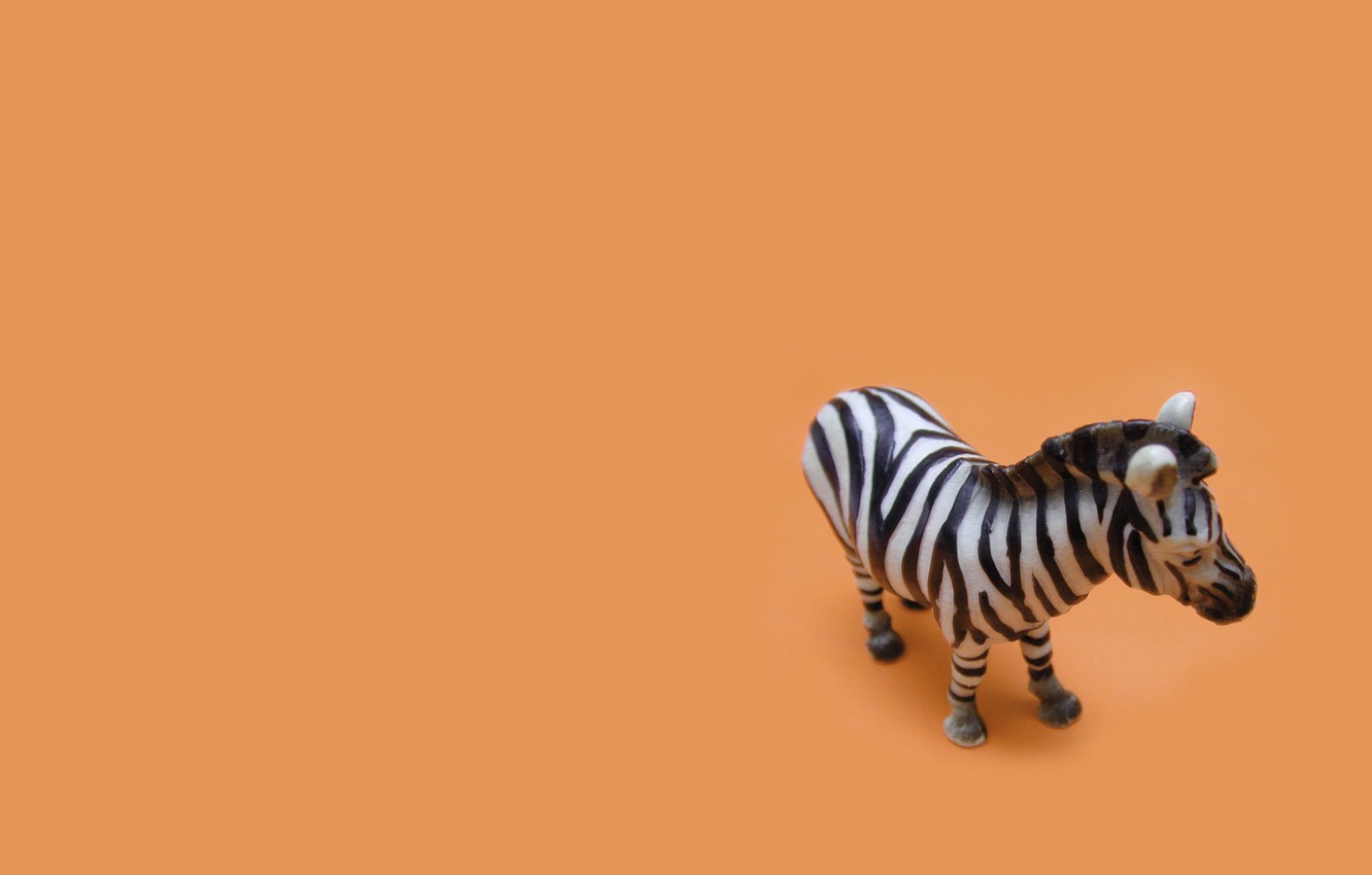 Zebra Minimalism Wallpapers