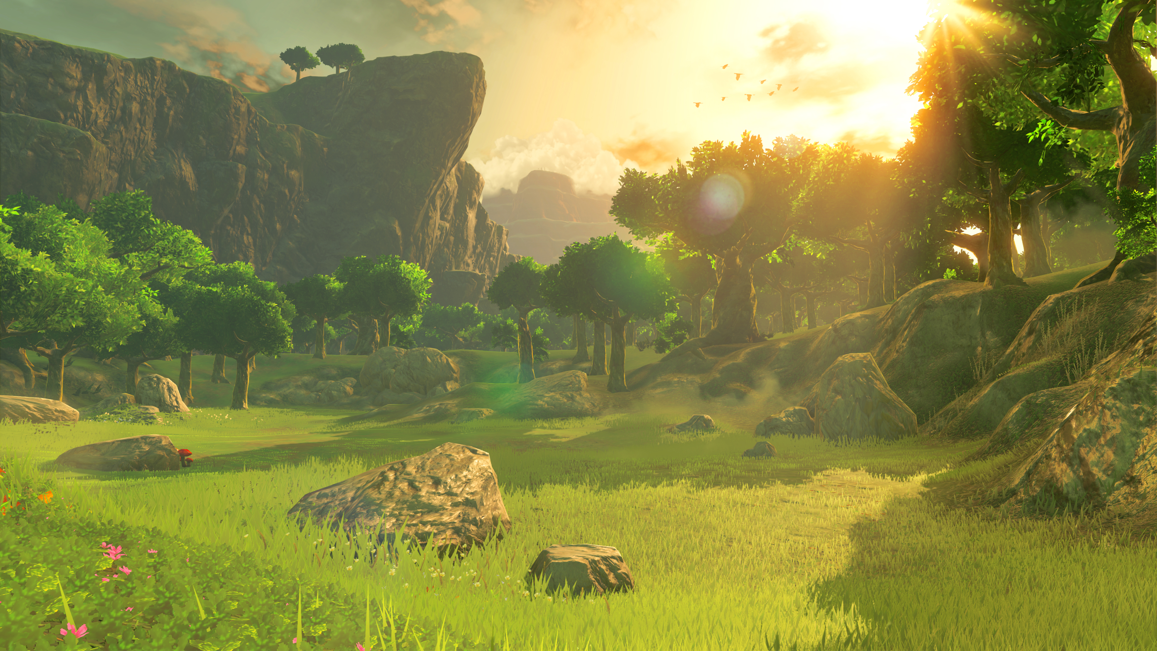 Zelda Breath Of The Wild Background