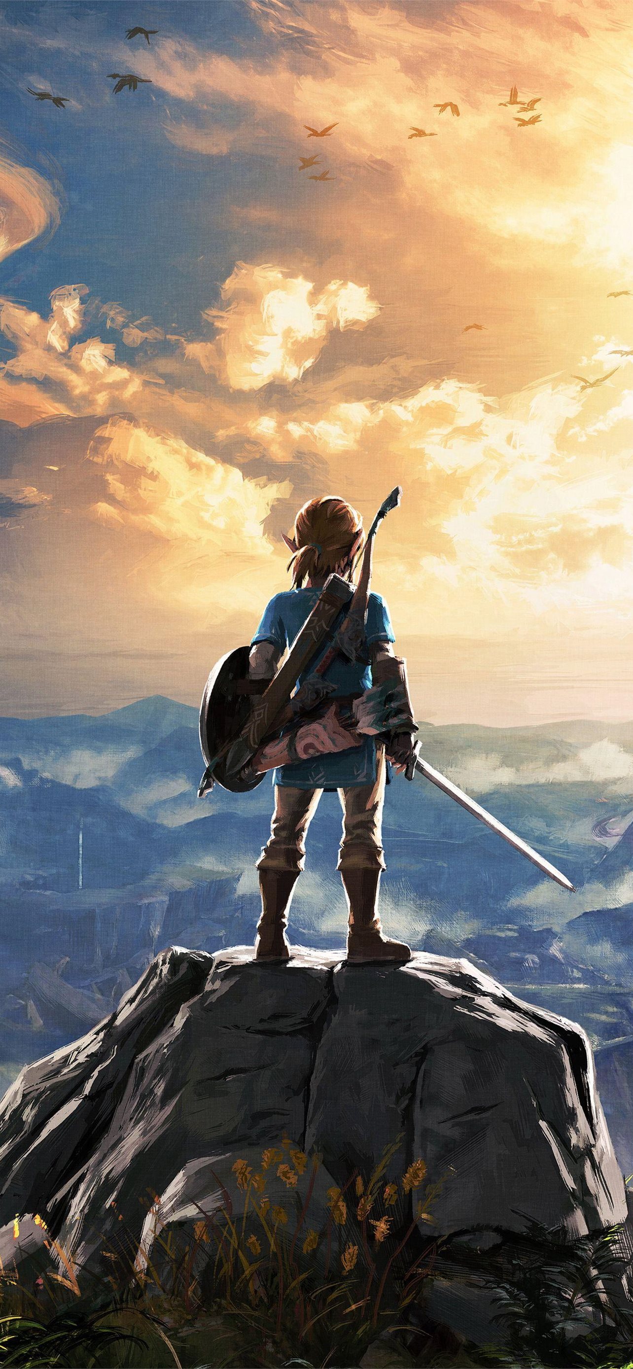 Zelda Breath Of The Wild Background